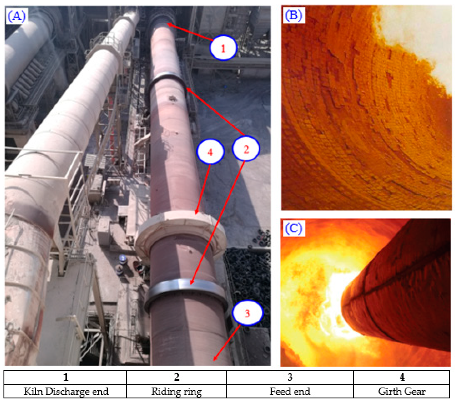 Sustainability 14 10146 g001