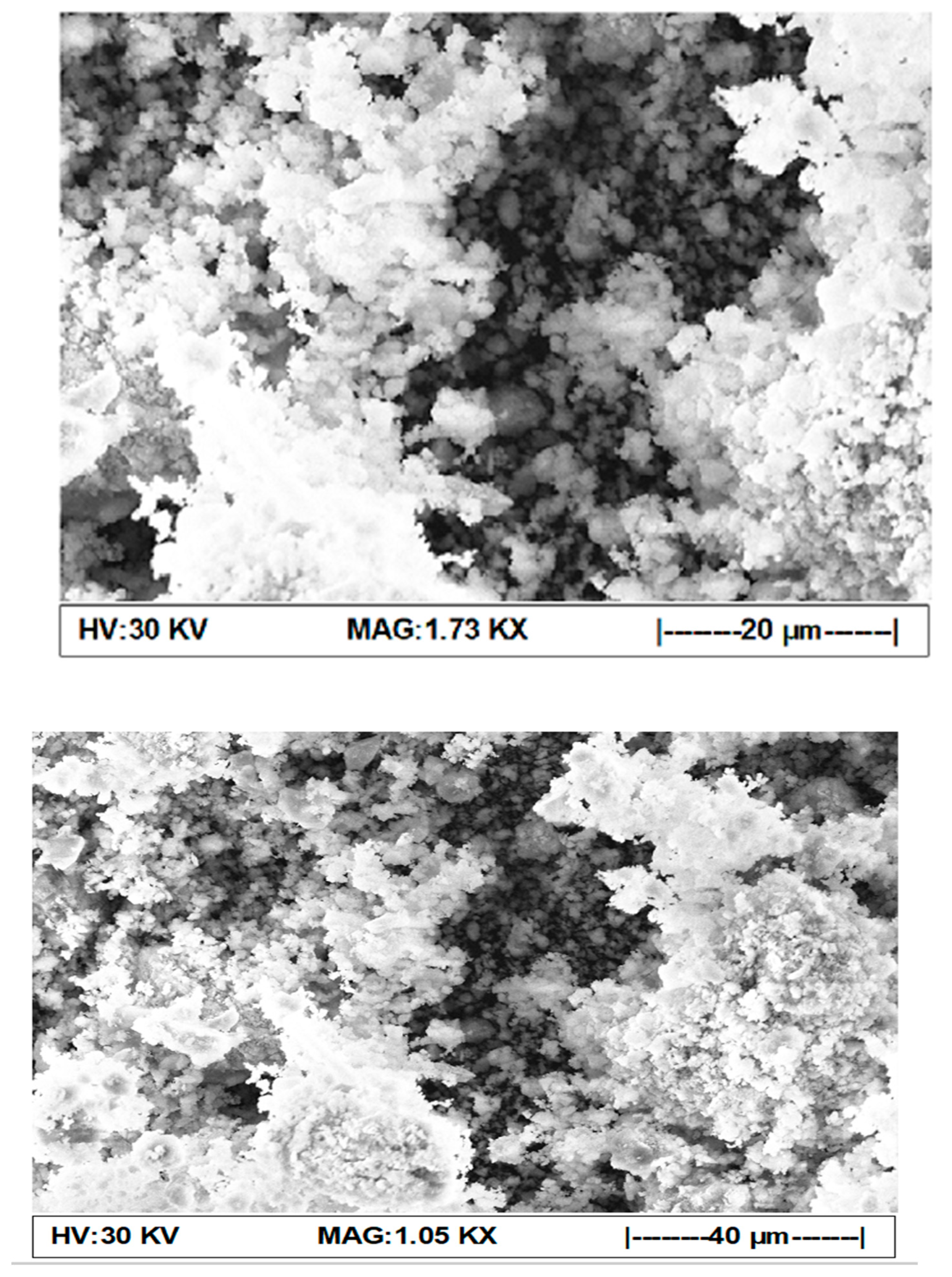 Sustainability 14 10188 g002 550