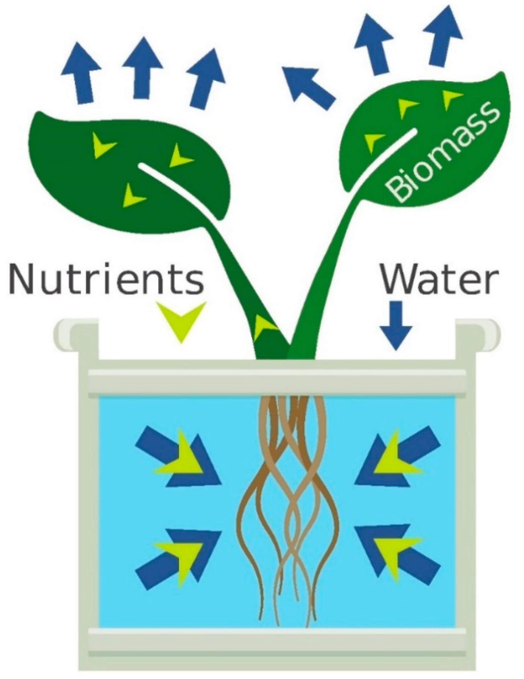 Water Vascular System - Wikipedia, The Free Encyclopedia PDF