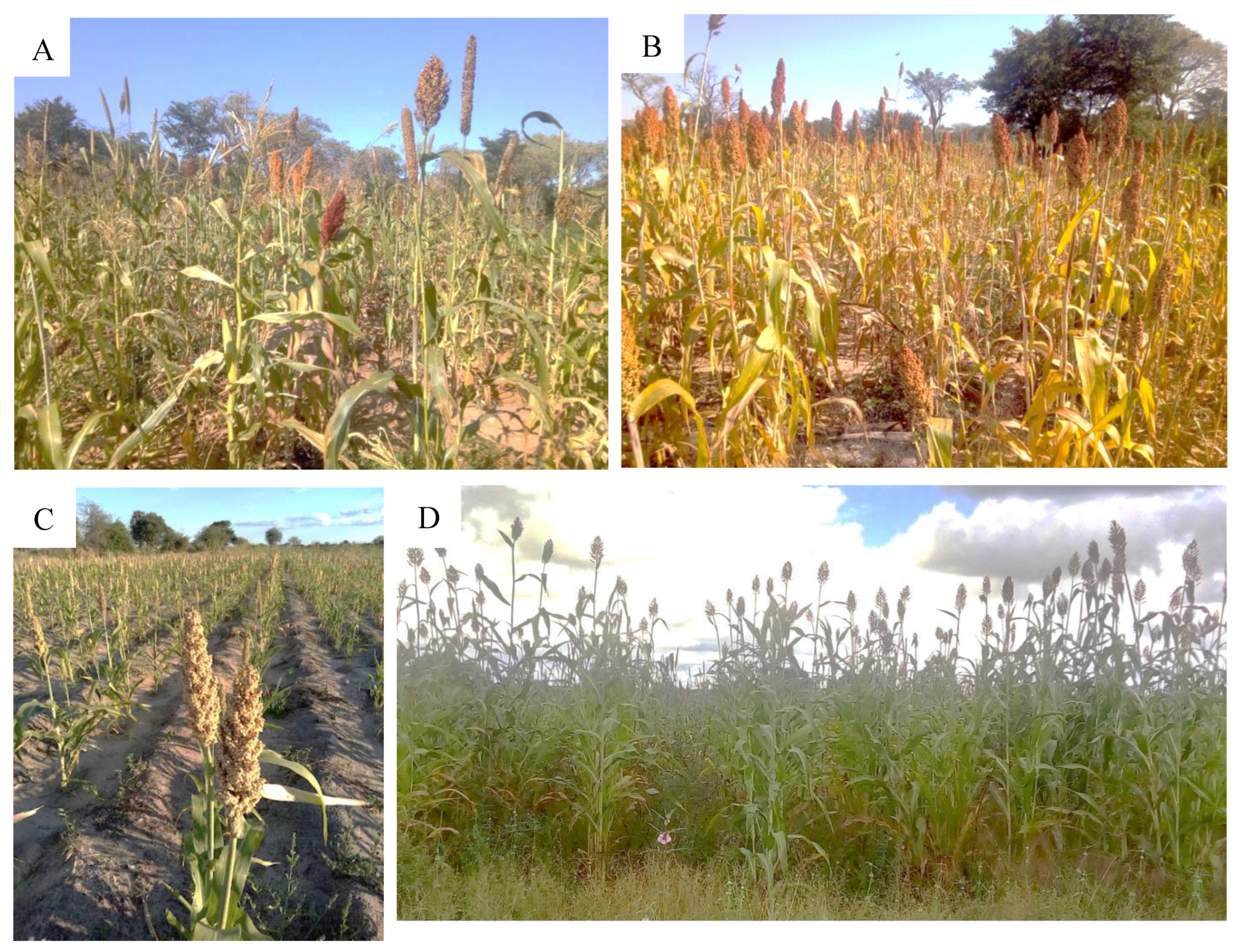 Sustainability 14 10266 g002 550