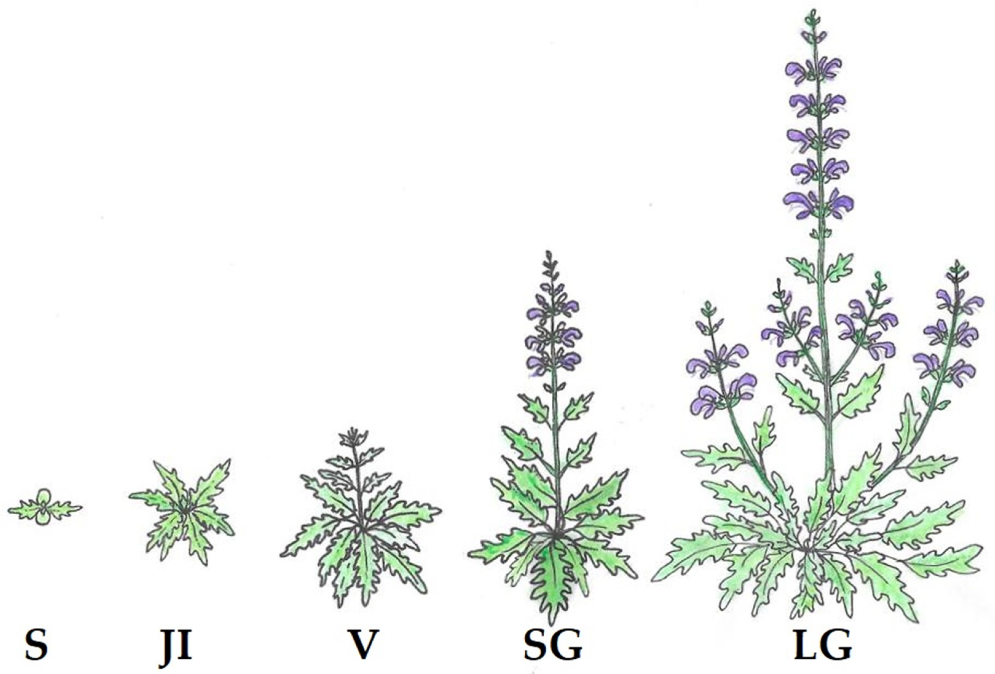Sustainability 14 10295 g003 Sustainability 14 10295 g003