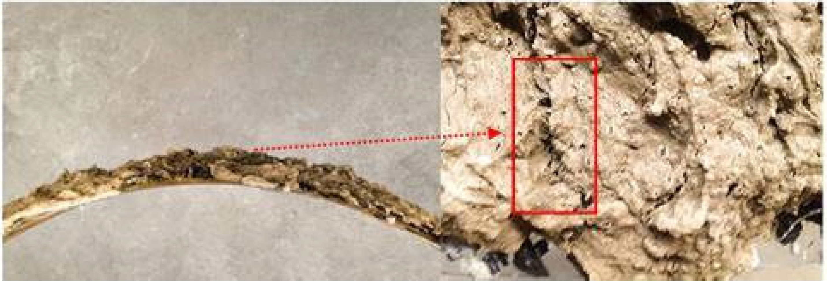 Sustainability 14 10297 g004 550