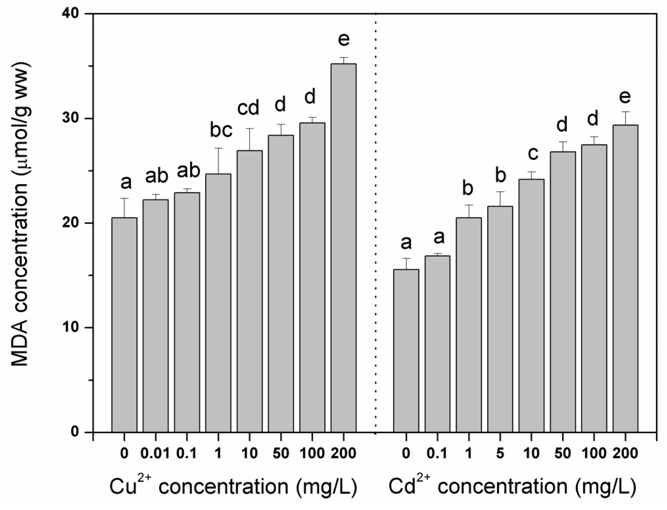 素敵でユニークな Enzyme Antioxidant of Response Activities Green the of トップス