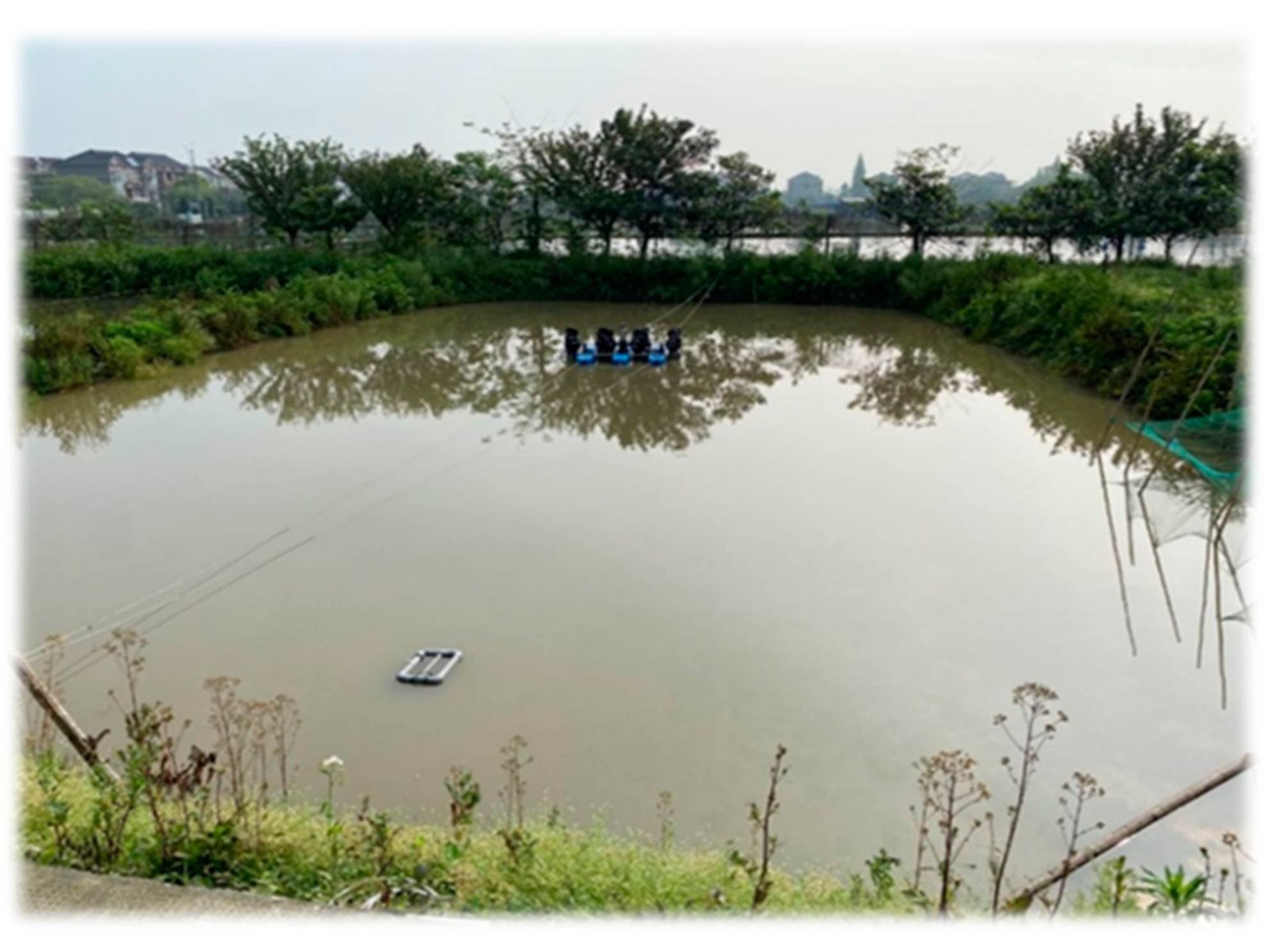 Sustainability 14 10329 g002