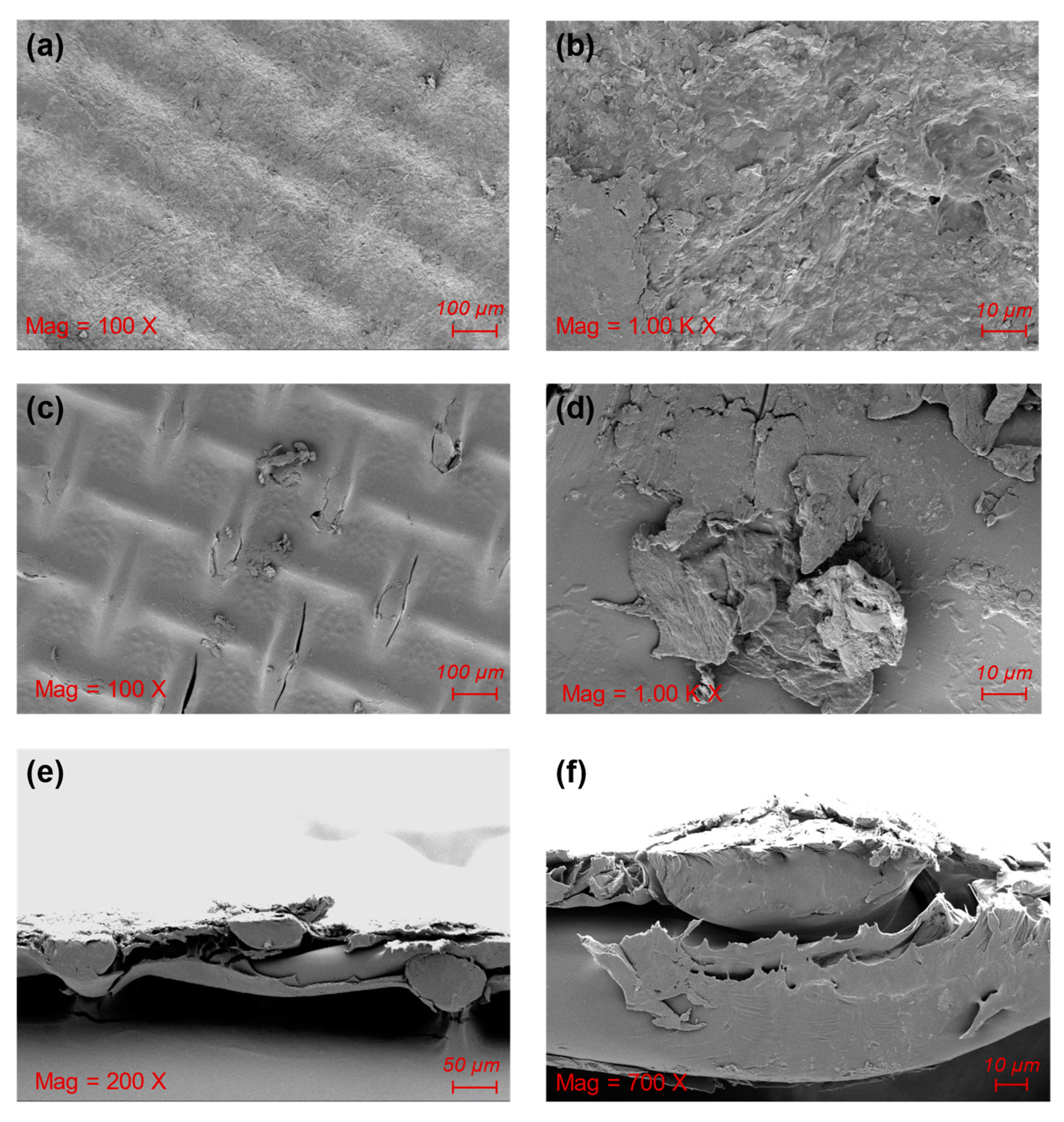 Sustainability 14 10329 g006