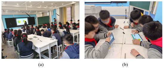 Sustainability | Free Full-Text | Promoting STEAM Education in 
