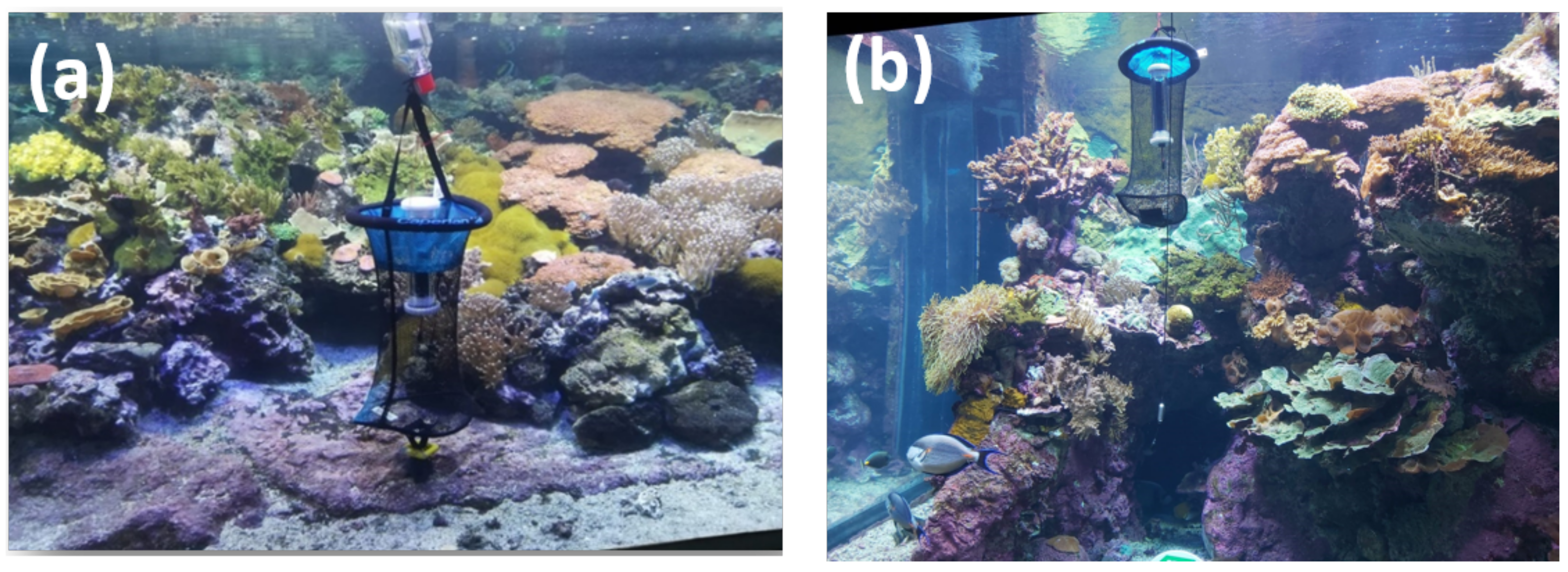 Sustainability 14 10359 g001 550