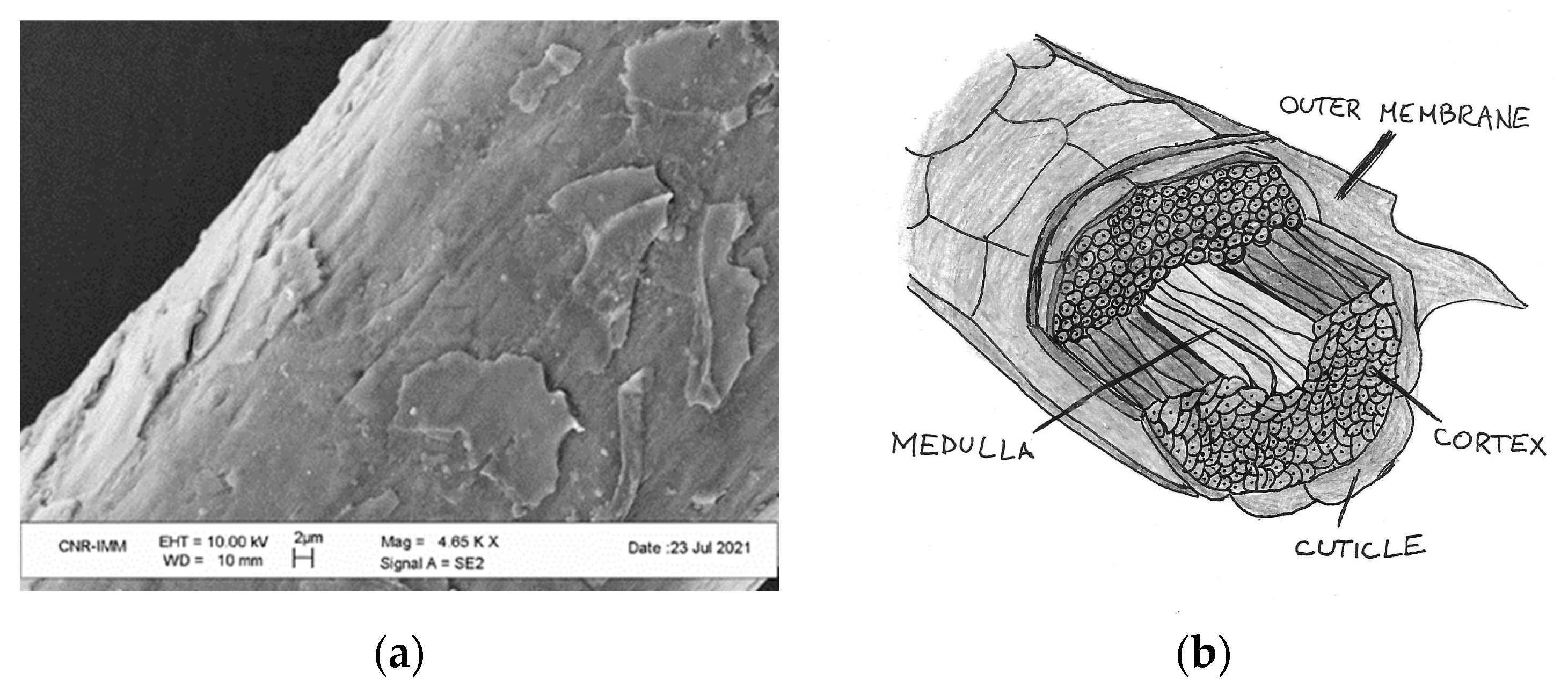 Sustainability 14 10378 g001