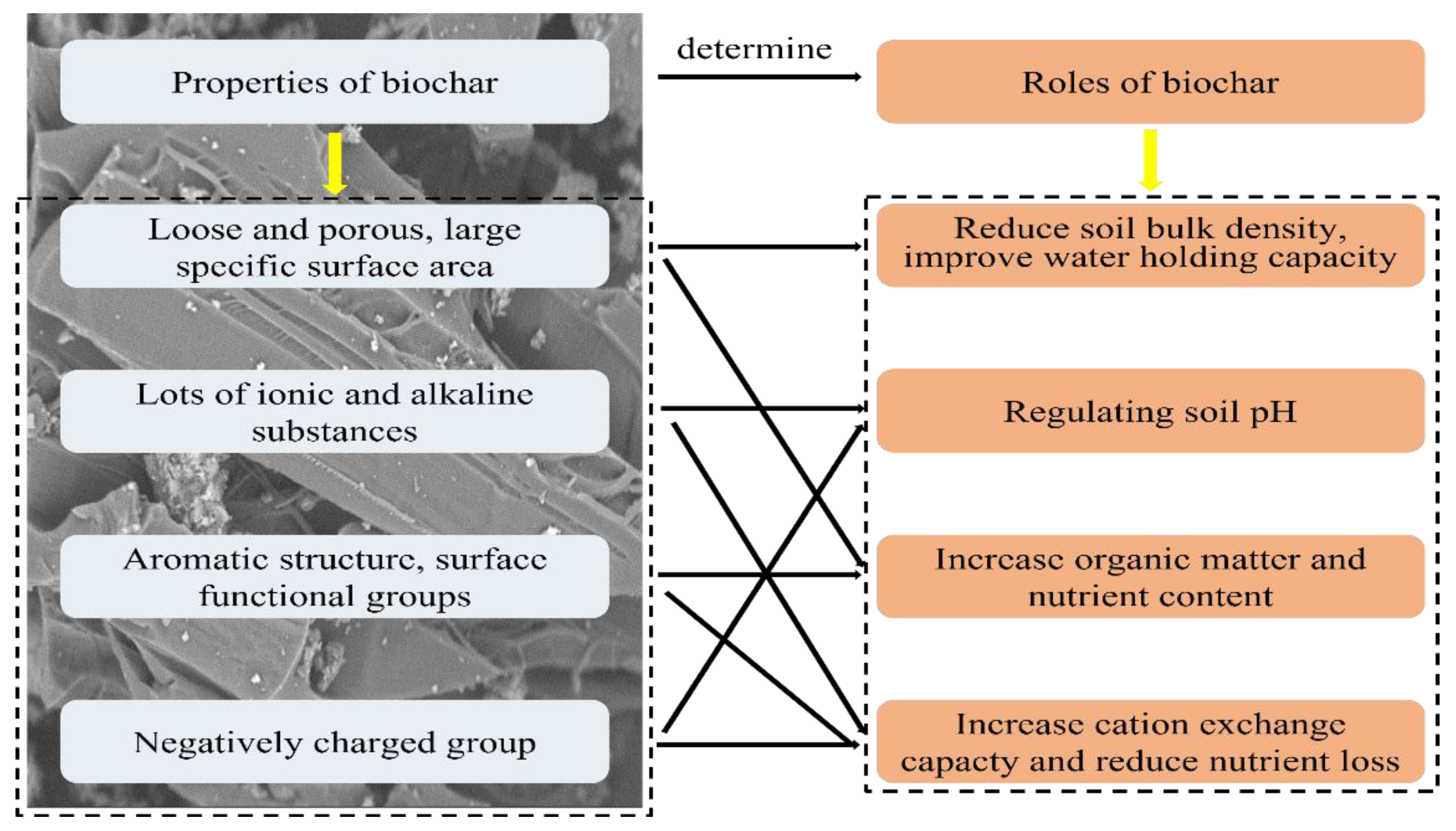 Sustainability 14 10411 g002