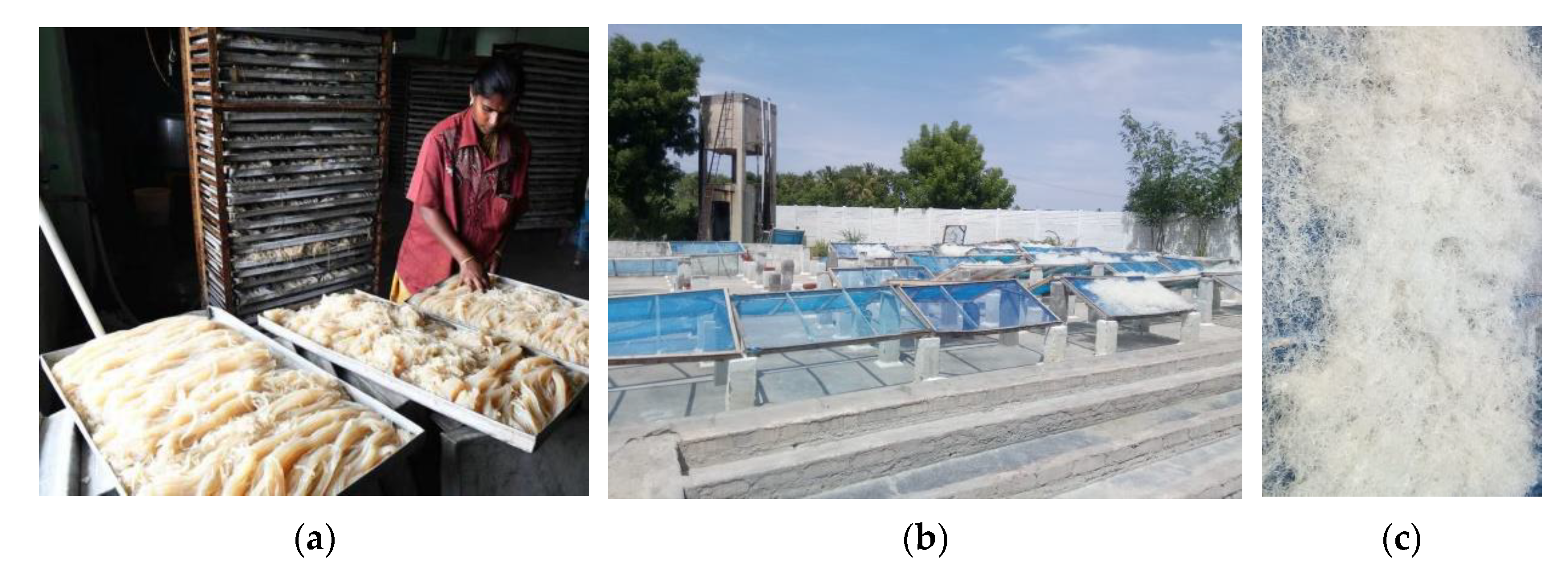 Sustainability 14 10416 g001 550