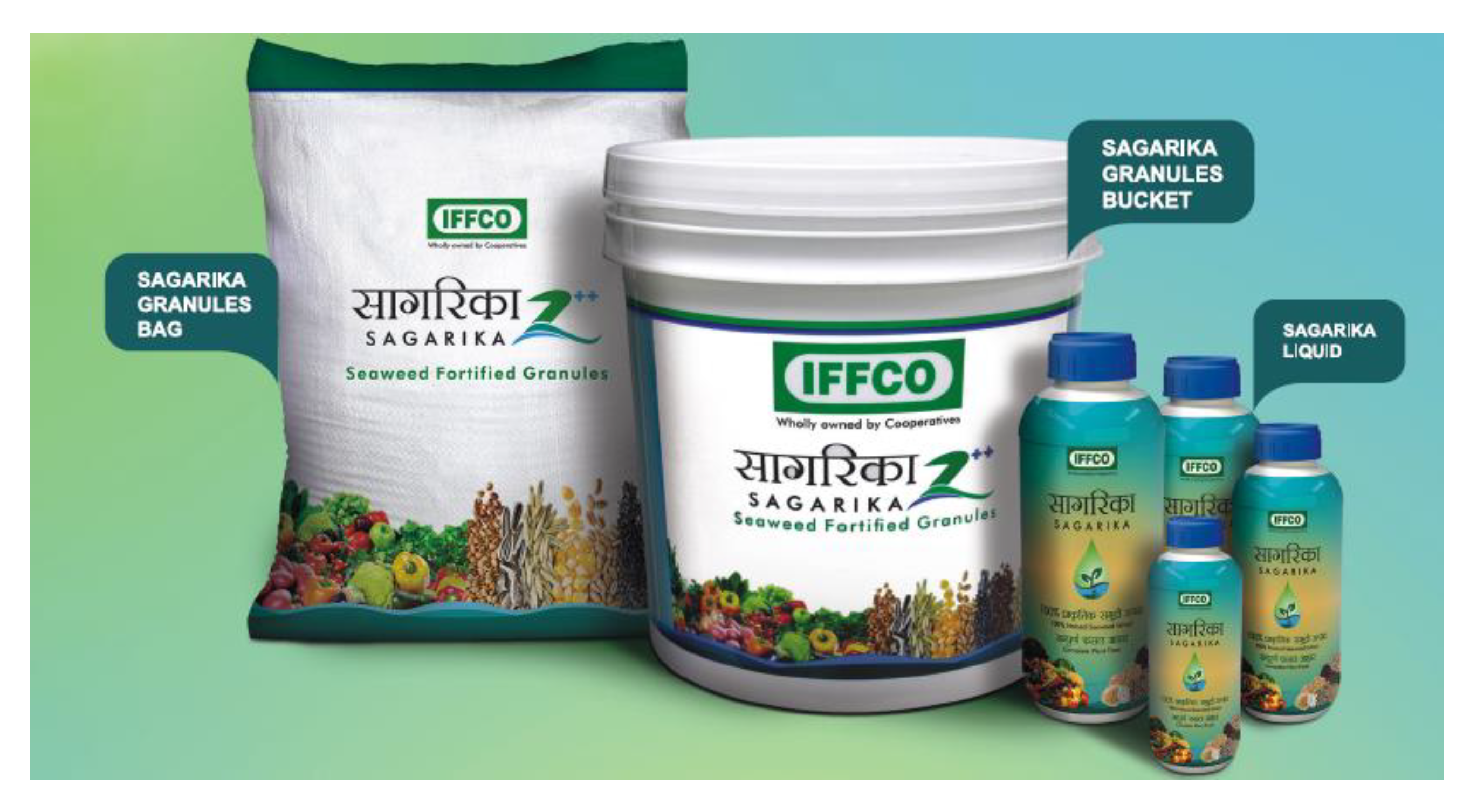 Sustainability 14 10416 g002 550