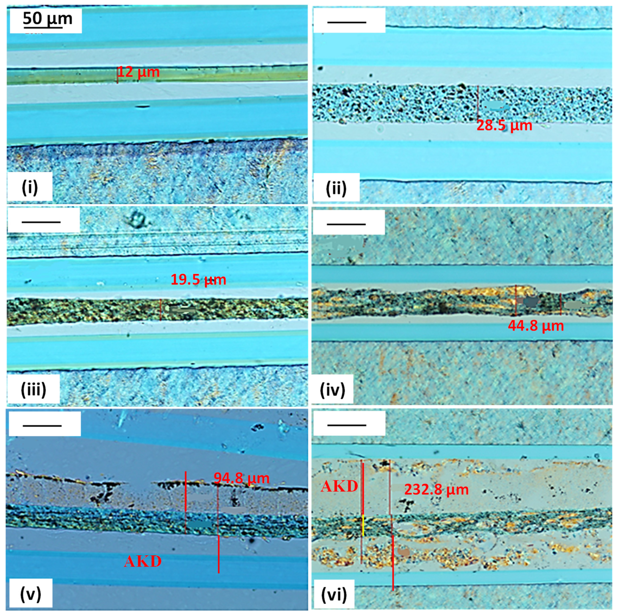 Sustainability 14 10425 g005