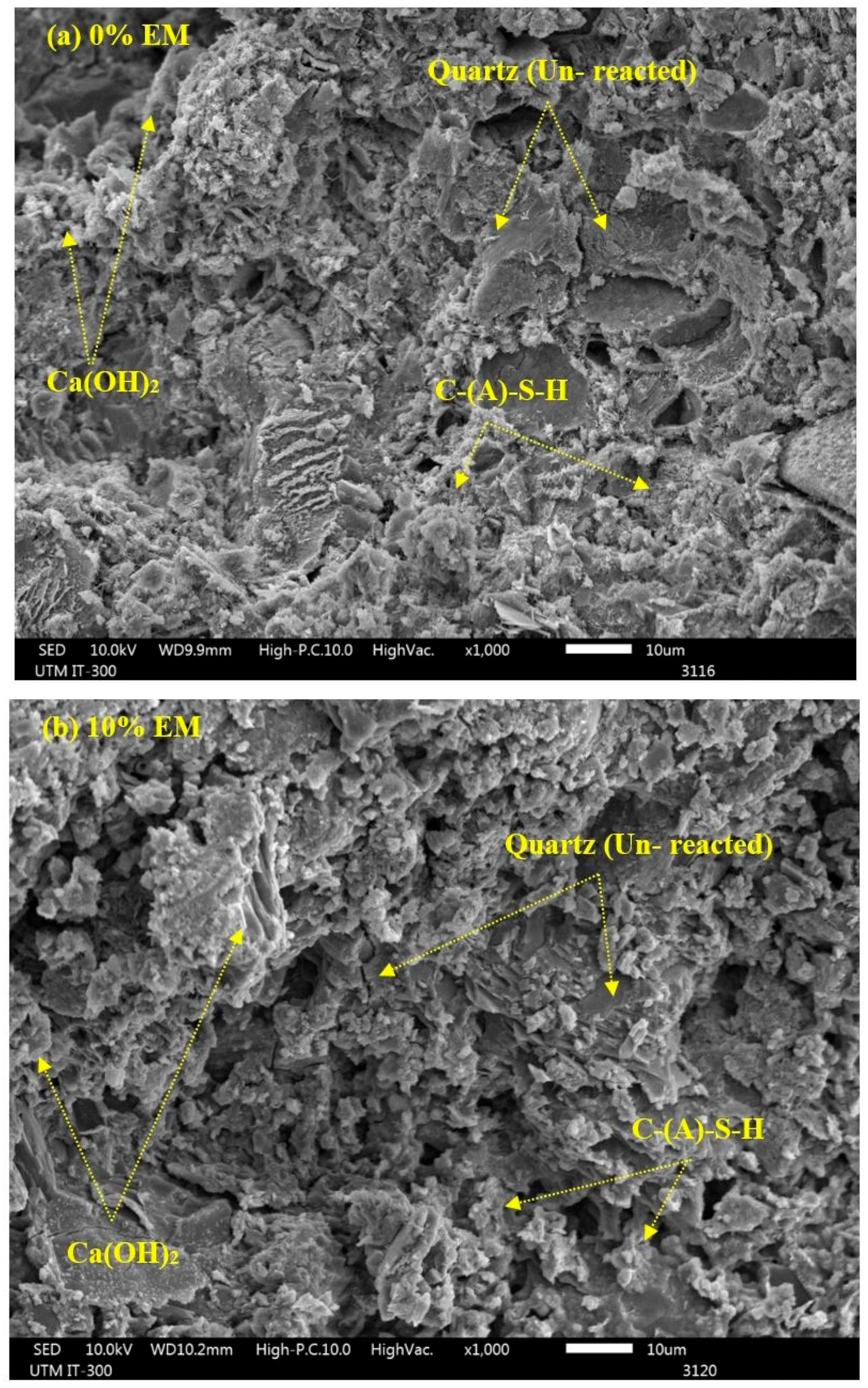 Sustainability 14 10443 g016