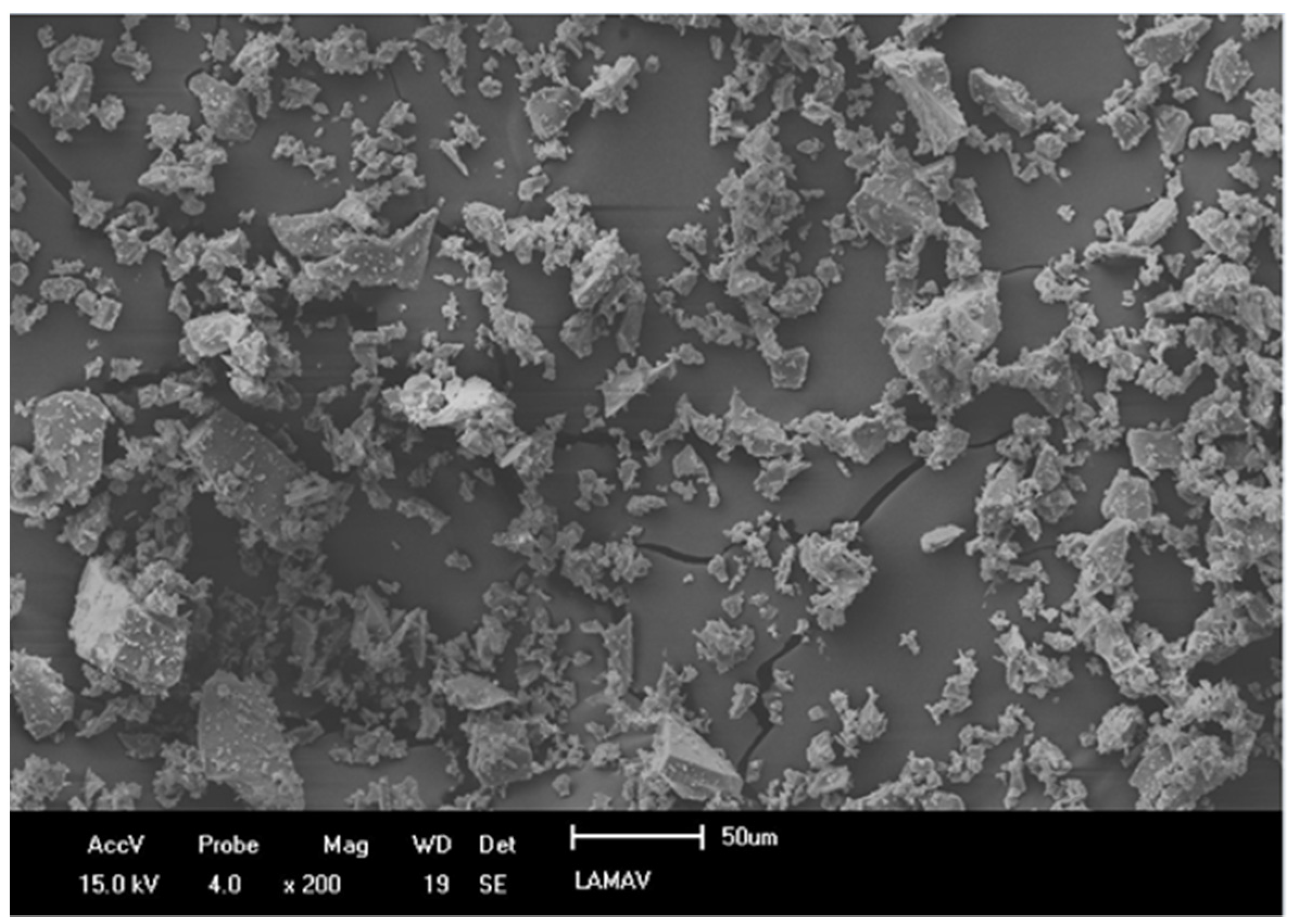 Sustainability 14 10454 g002