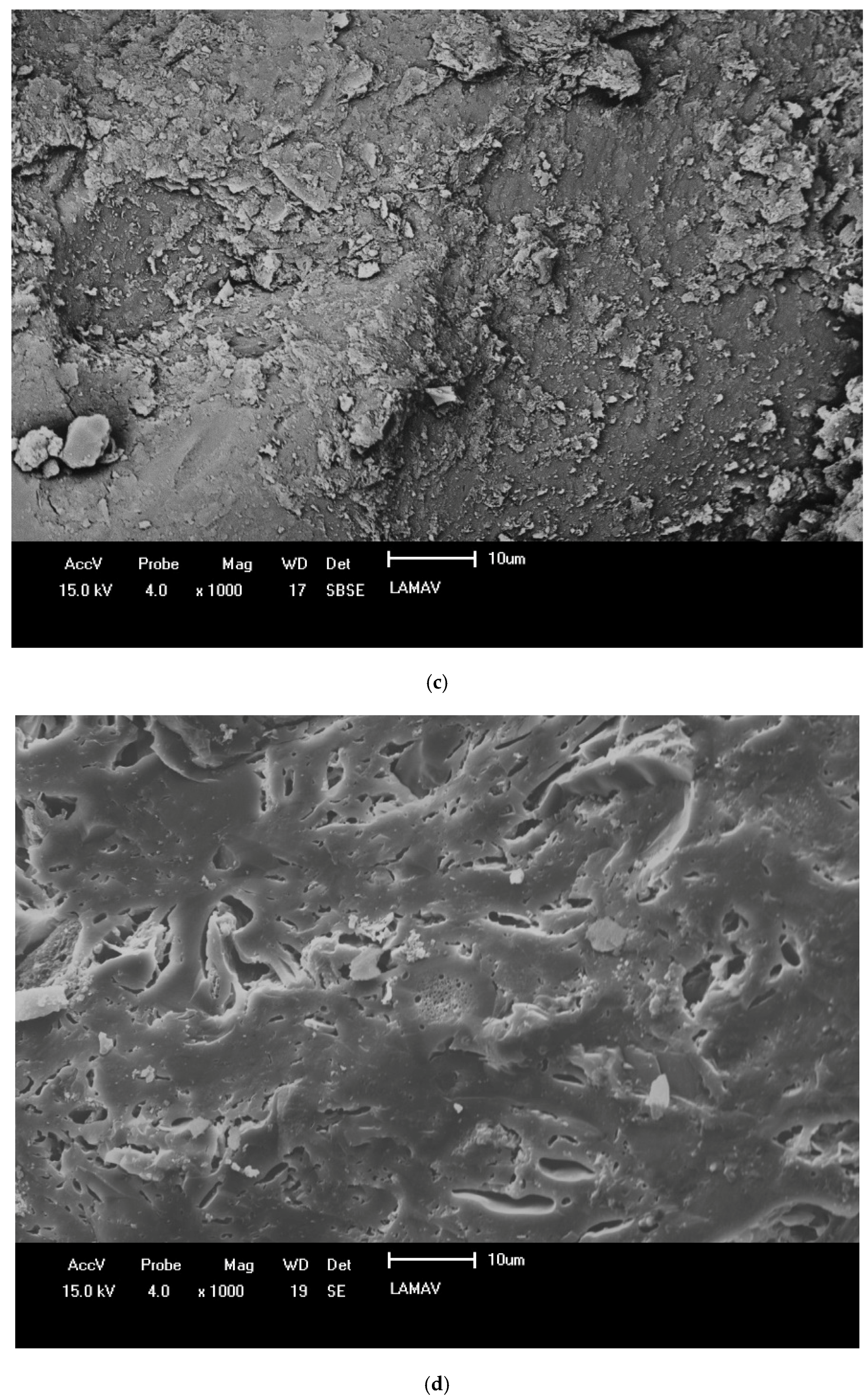 Sustainability 14 10454 g010b