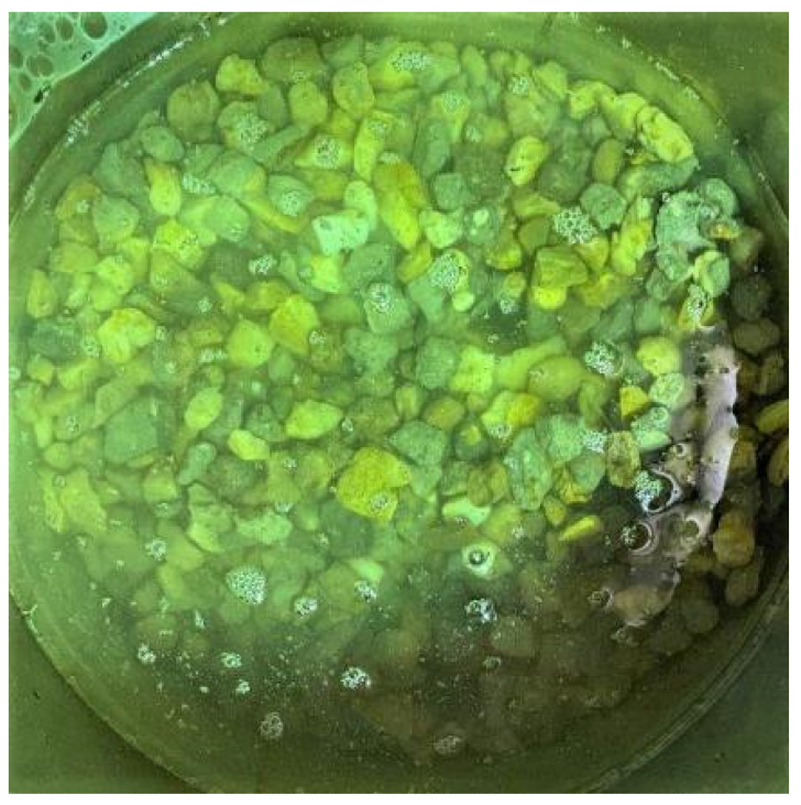 Sustainability 14 10495 g004 550