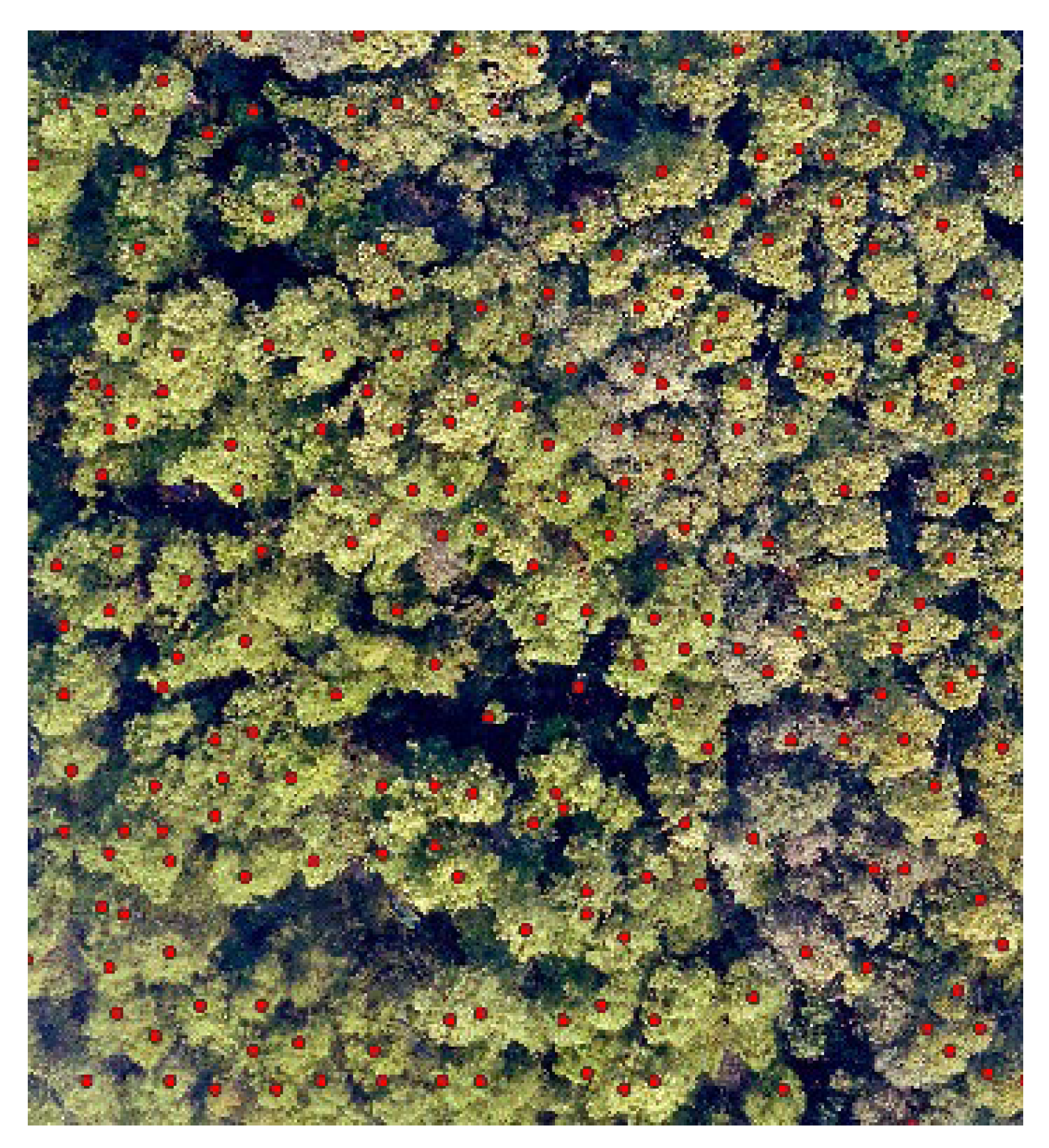 Sustainability 14 10576 g007 550