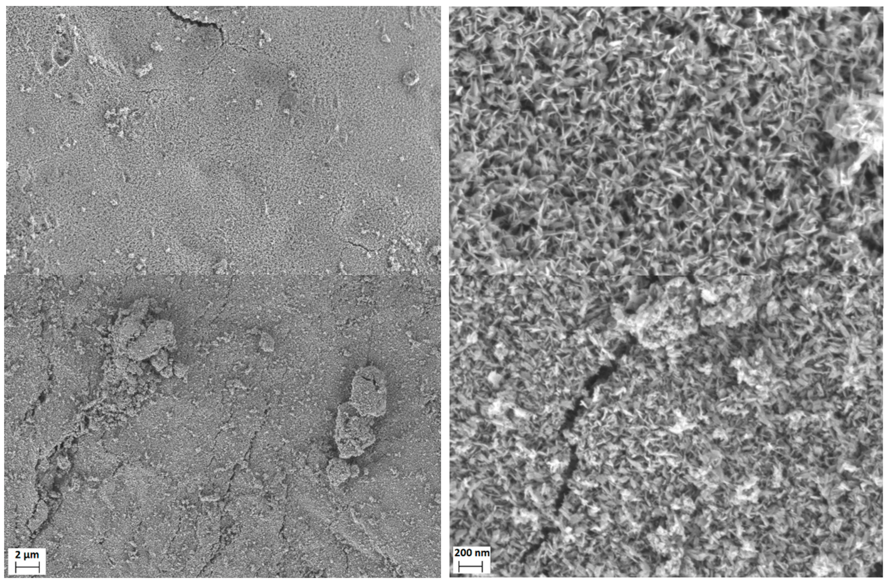 Sustainability 14 10581 g003 550