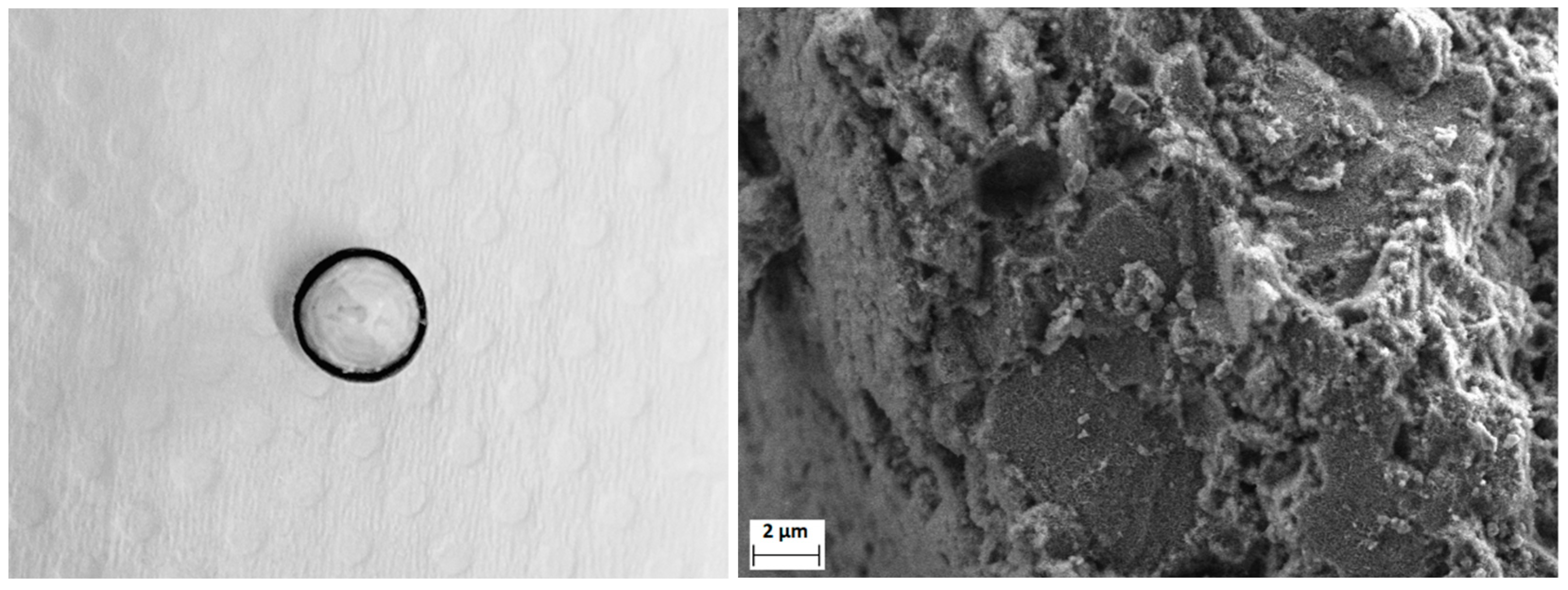 Sustainability 14 10581 g004 550