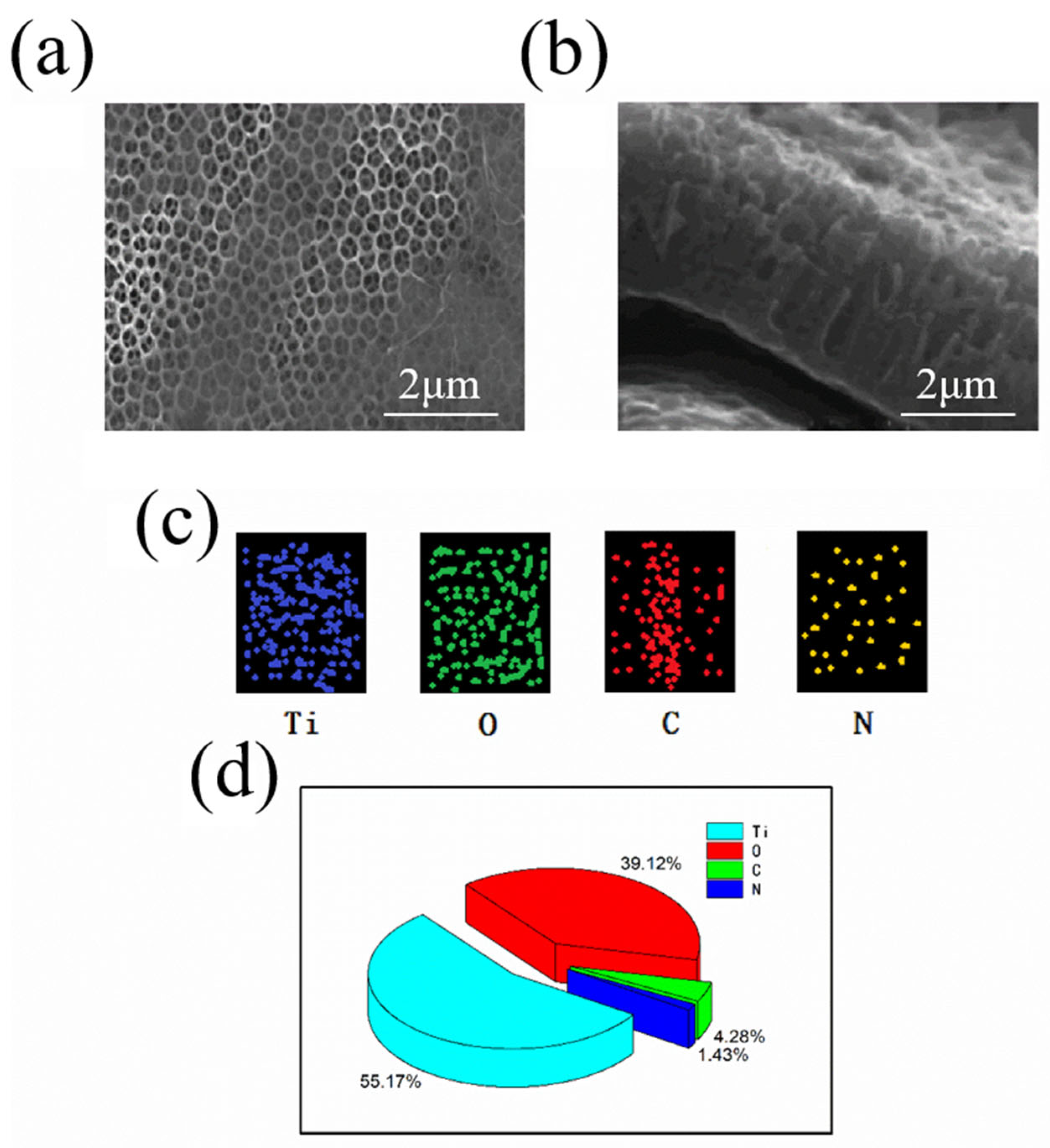 Sustainability 14 10614 g002