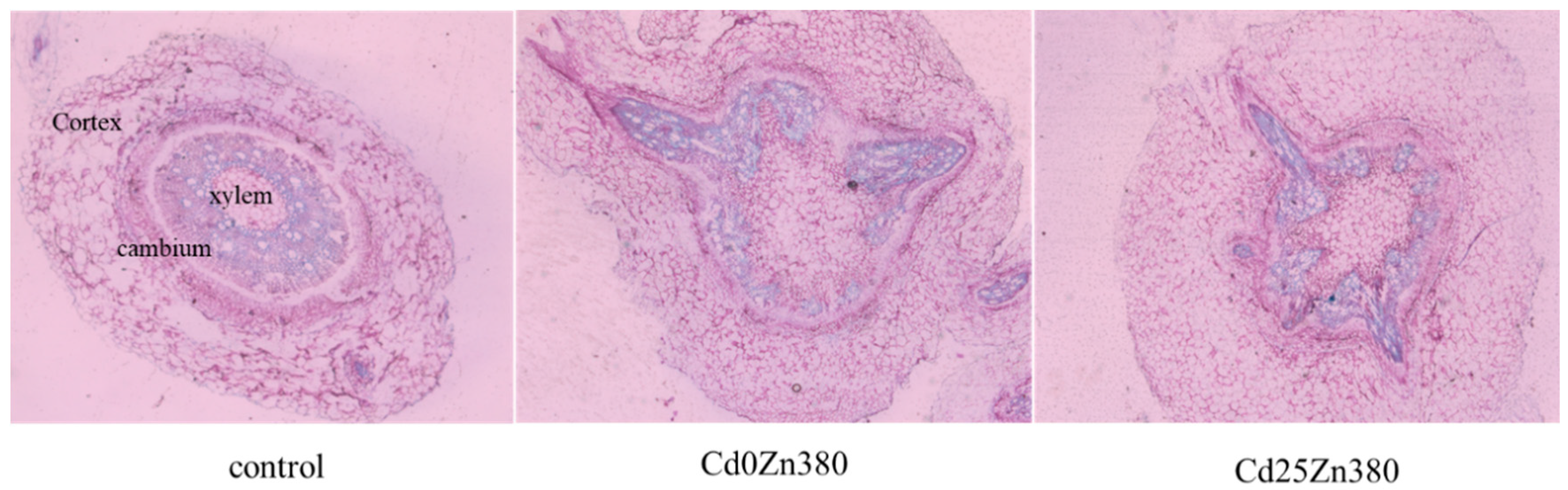 Sustainability 14 10702 g004