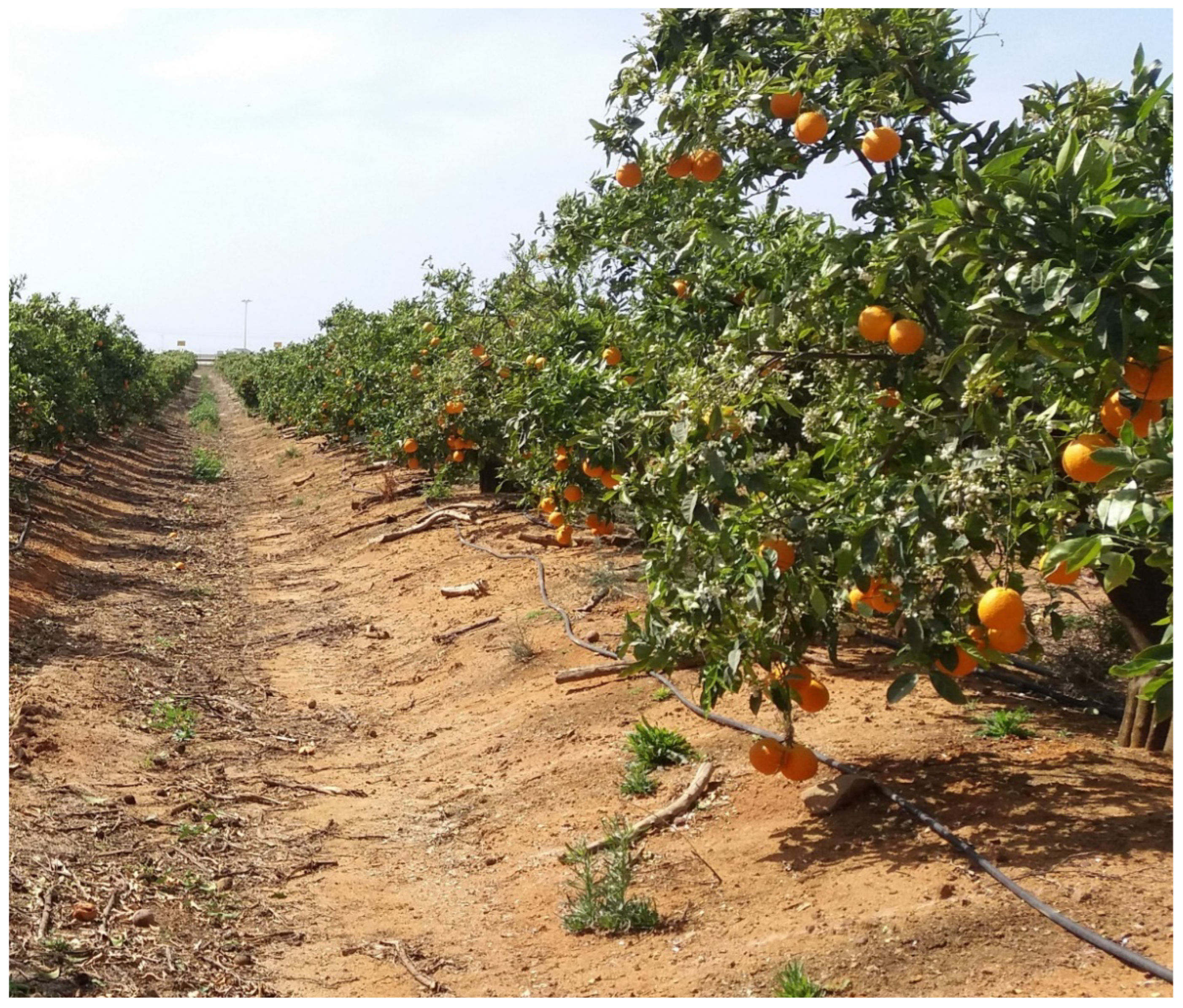 Sustainability 14 10715 g002 Sustainability 14 10715 g002