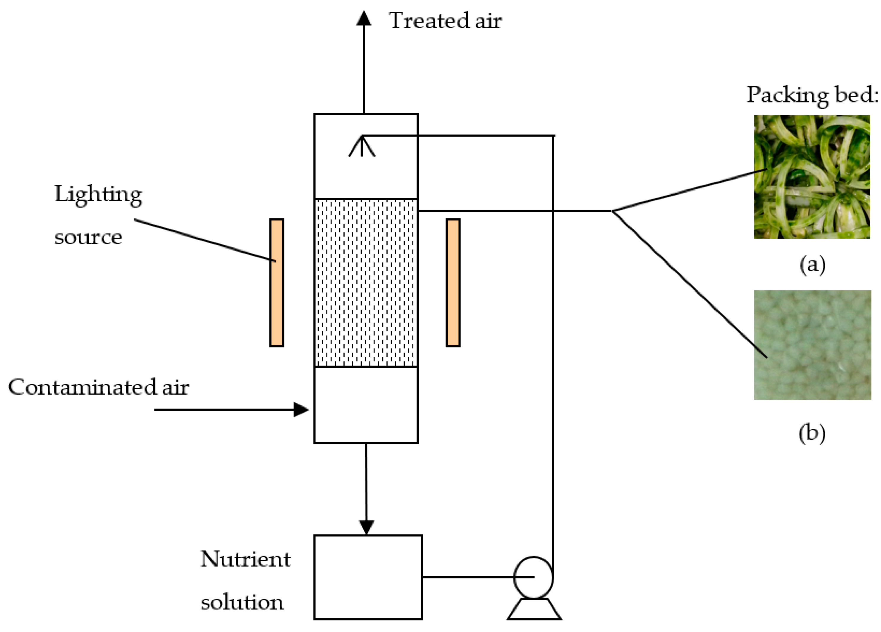 Sustainability 14 10737 g001 550