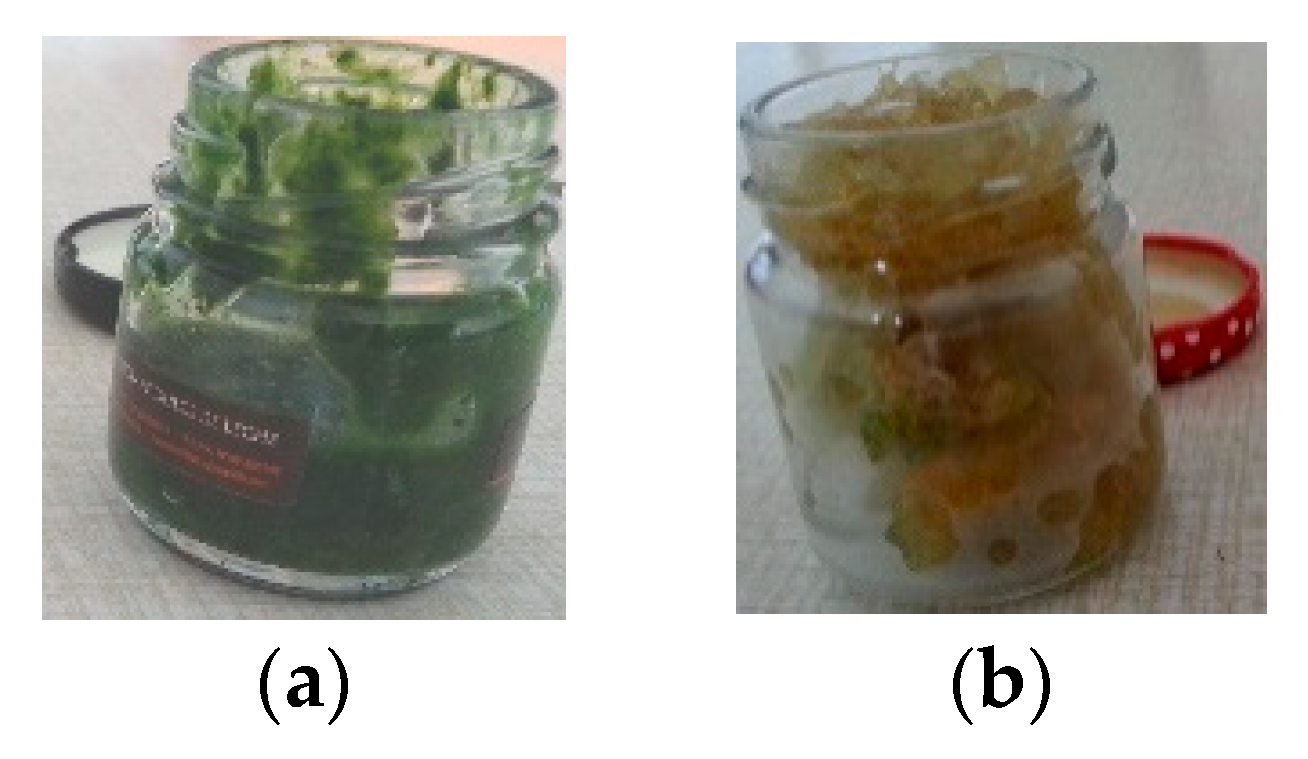 Sustainability 14 10737 g002 550