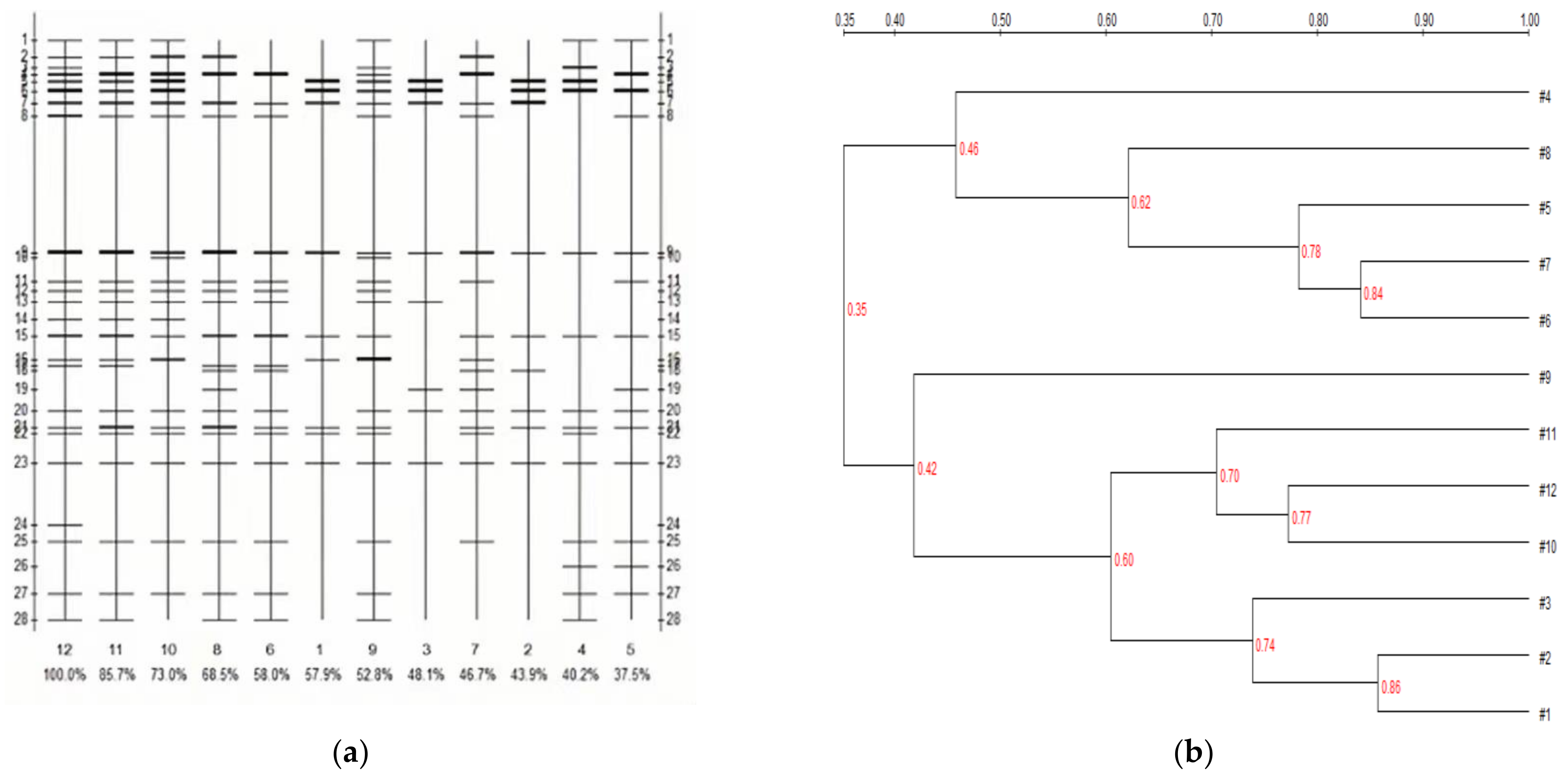 Sustainability 14 10746 g011