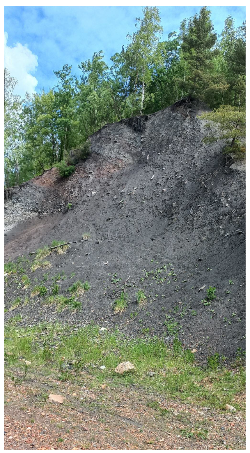 Sustainability 14 10829 g001 550