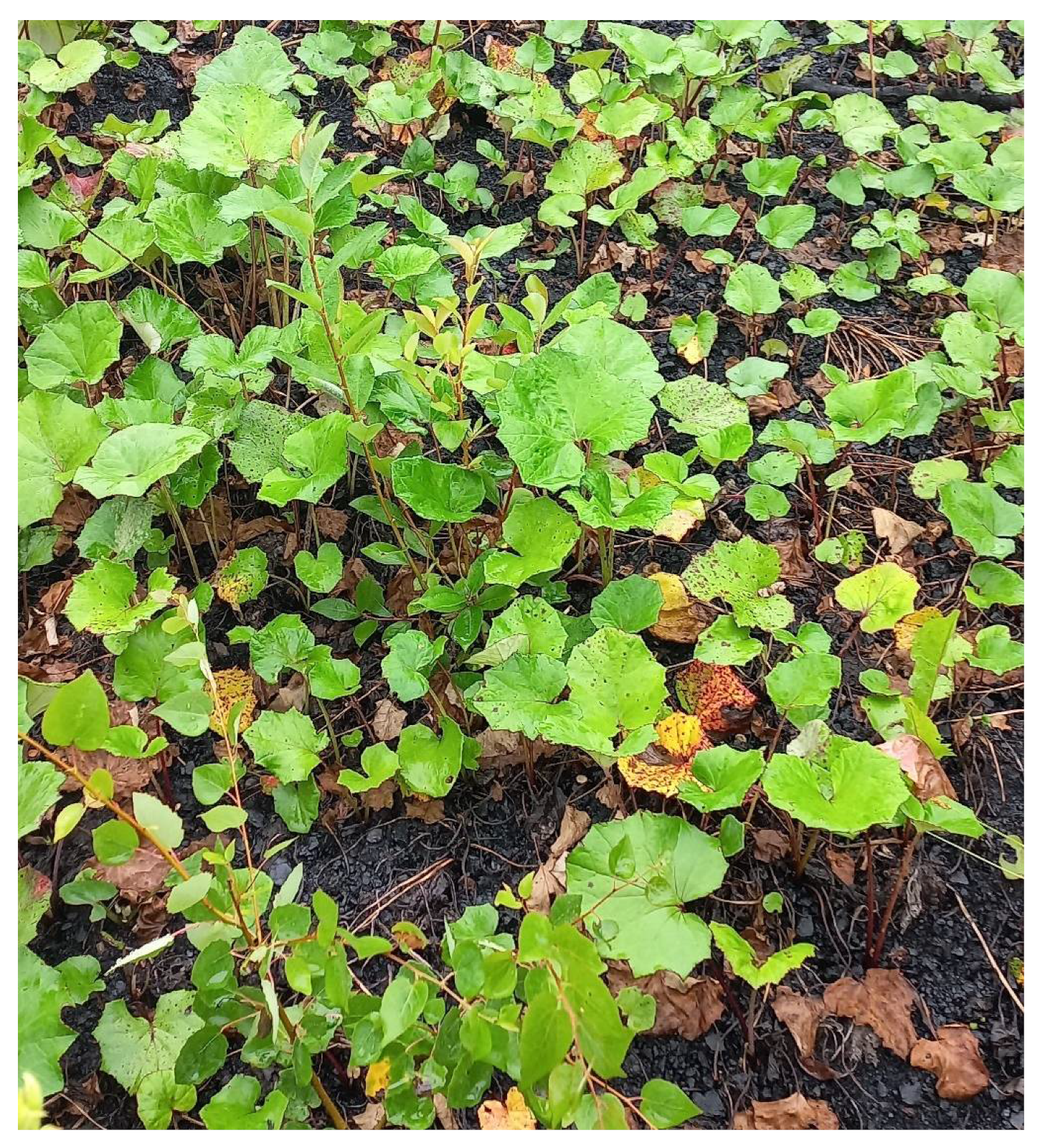 Sustainability 14 10829 g003 550