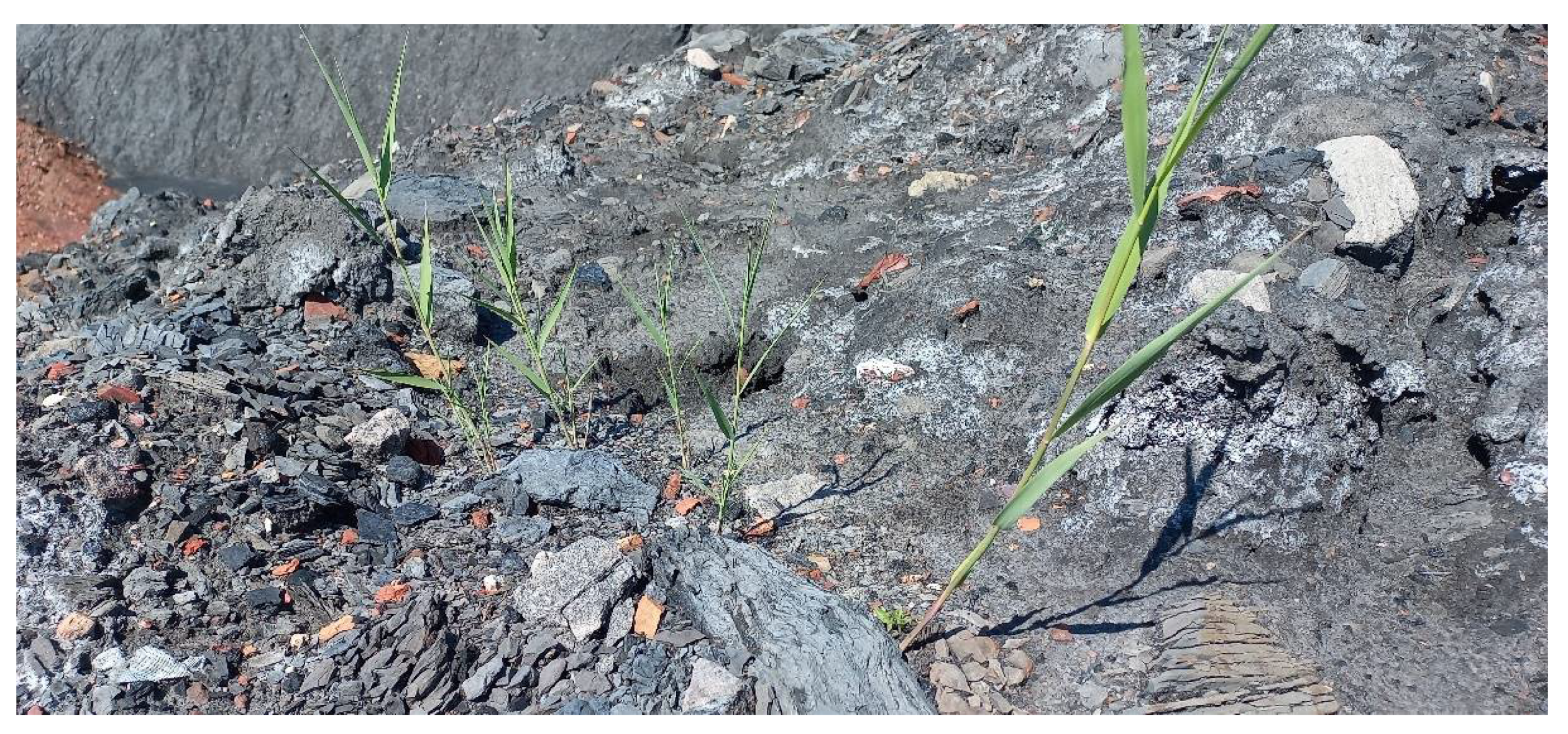 Sustainability 14 10829 g004 550