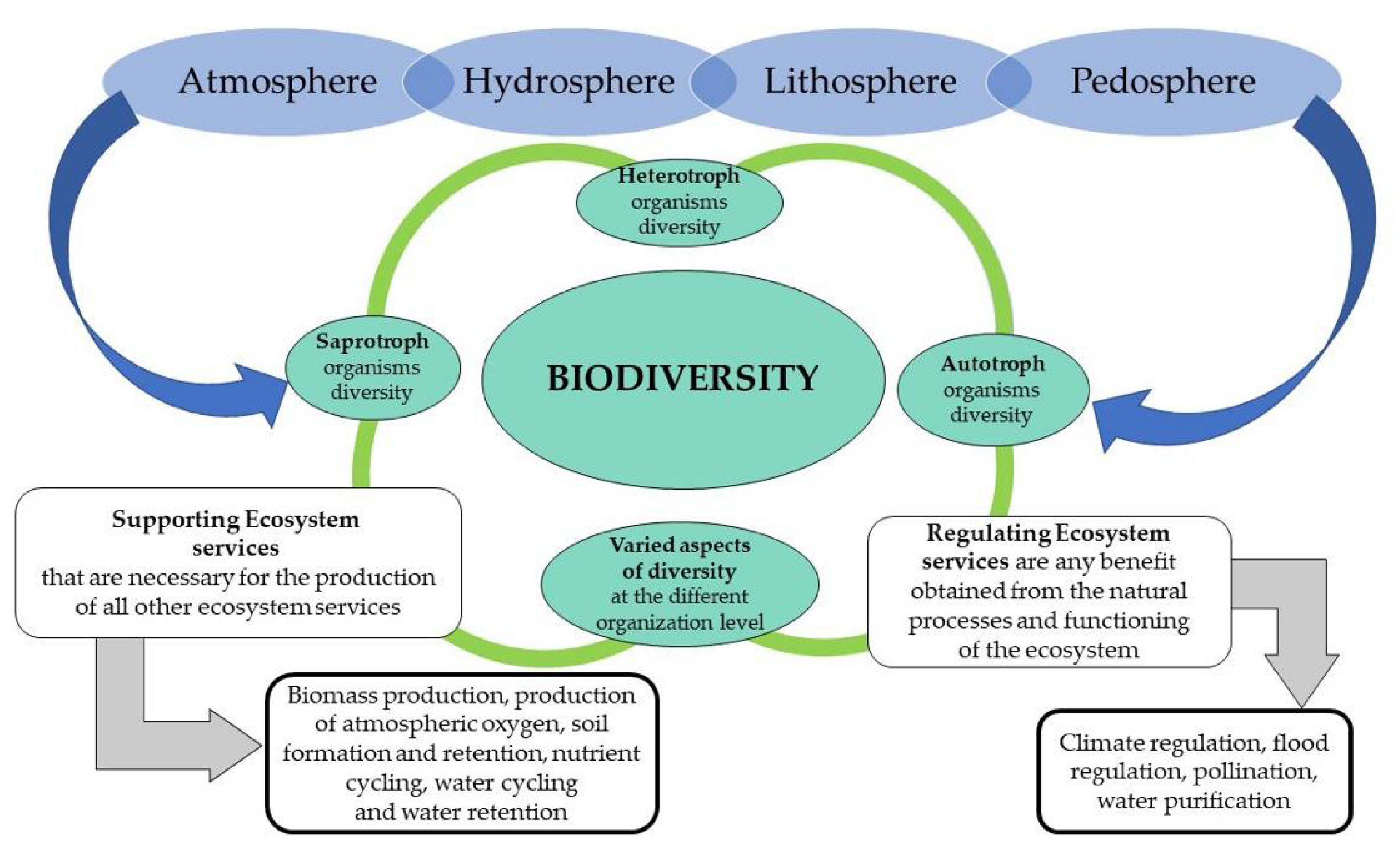 Sustainability Free FullText Novel Ecosystems in the Urban