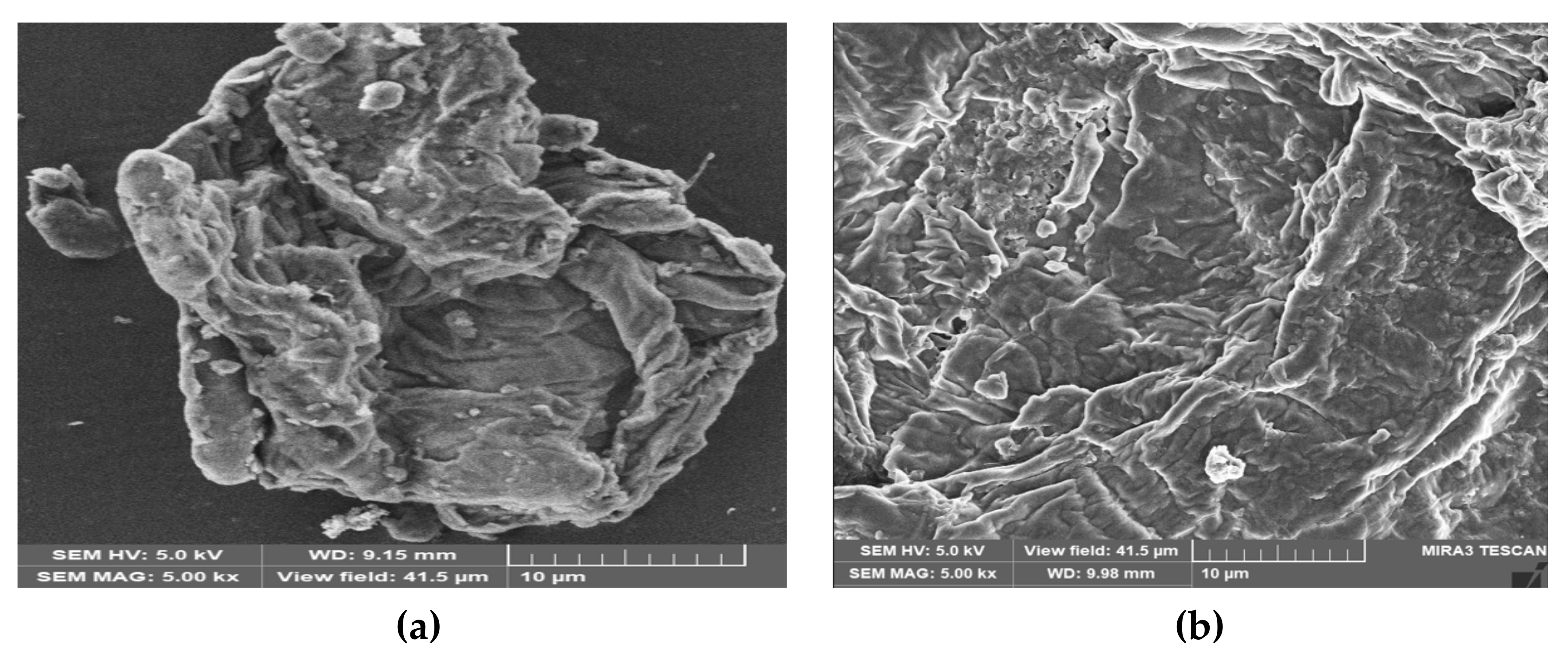 Sustainability 14 10860 g003 550