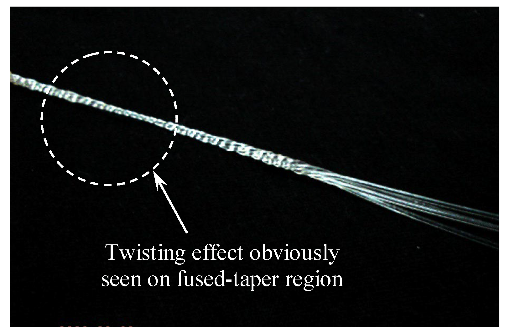 Sustainability 14 10894 g003 550