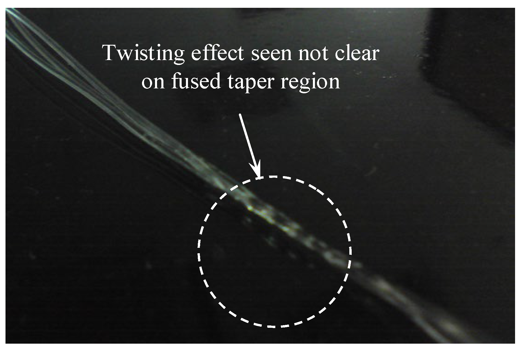 Sustainability 14 10894 g004 550