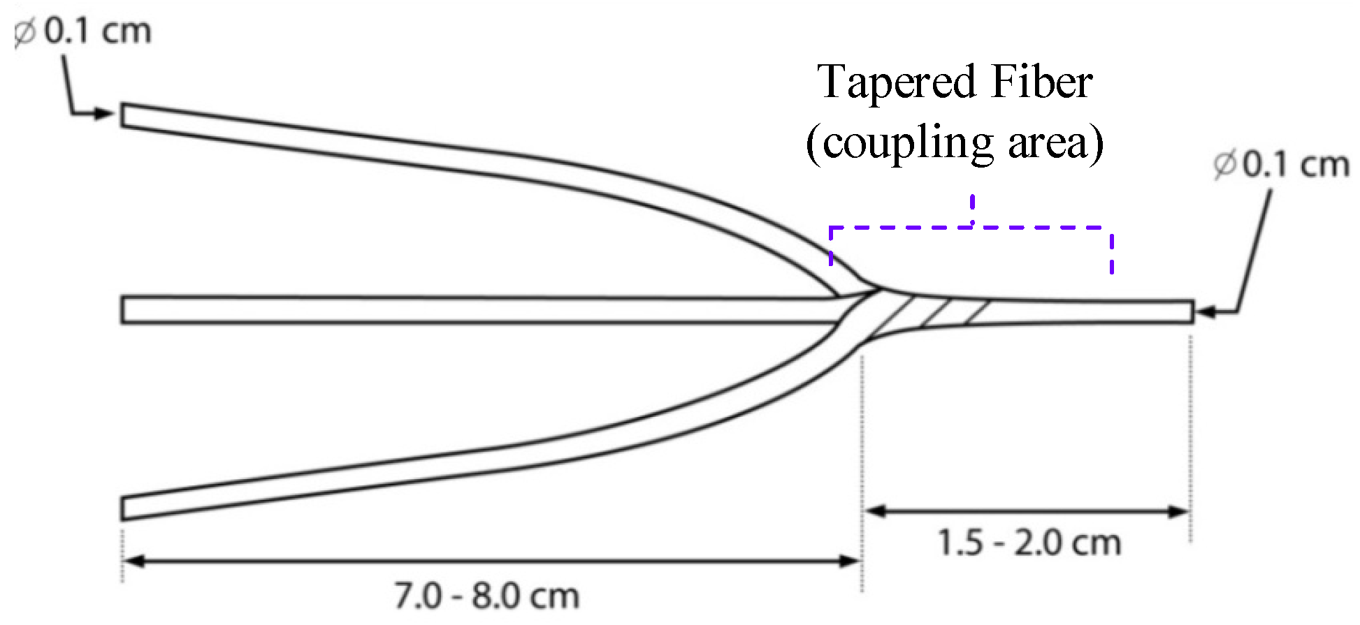 Sustainability 14 10894 g006 550
