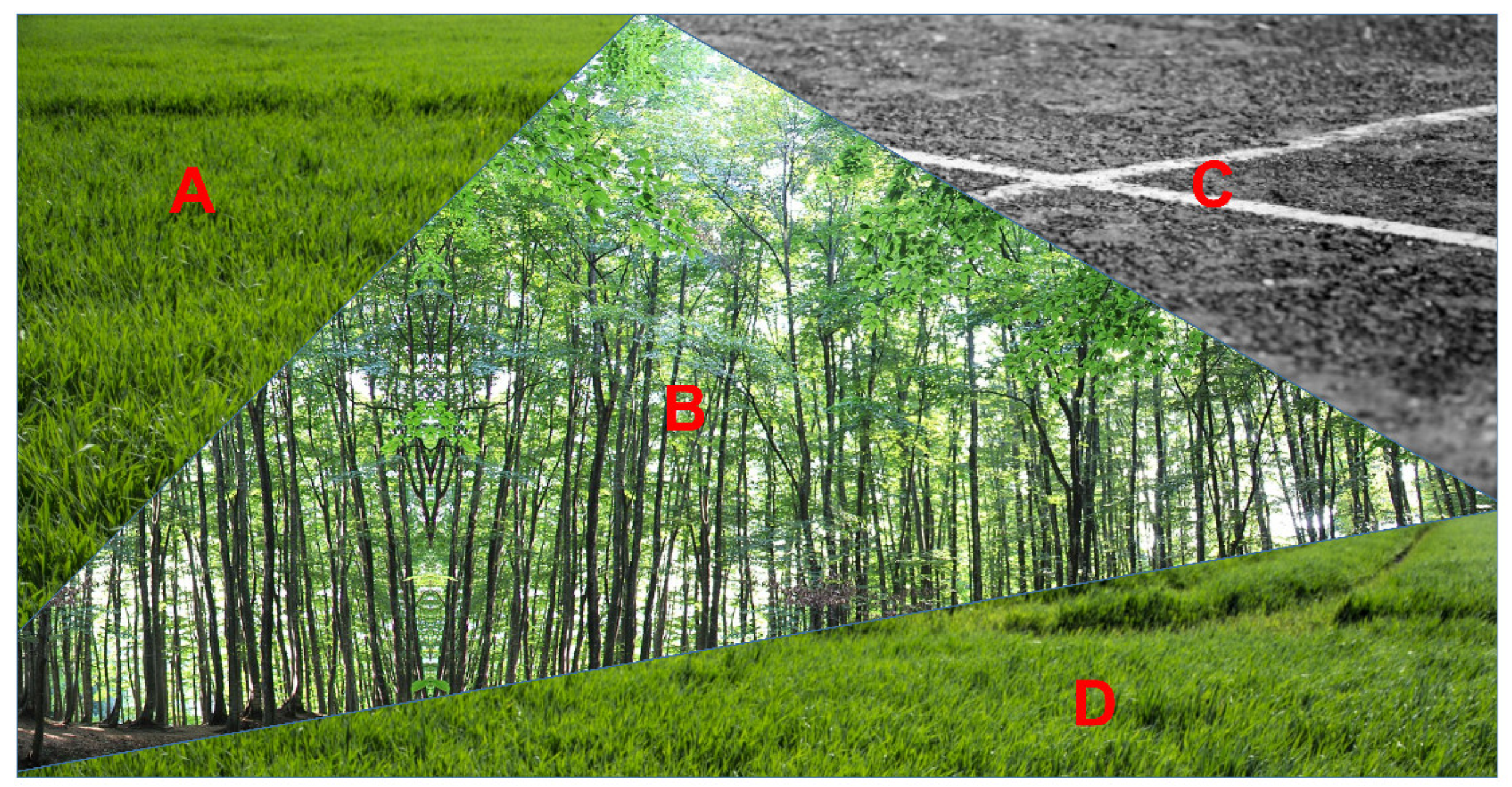 Sustainability 14 10895 g004