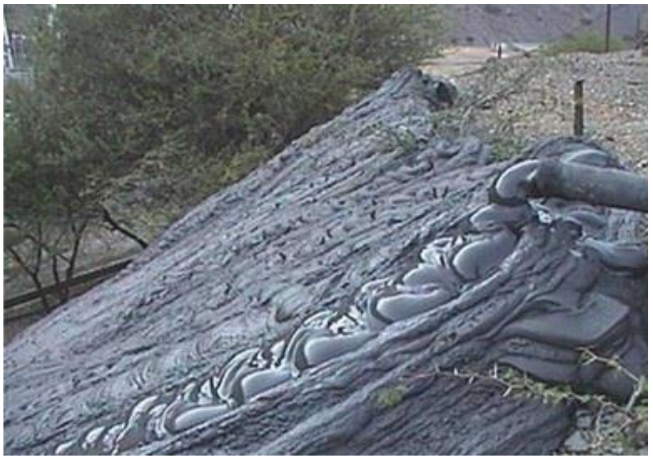 Sustainability 14 10901 g061