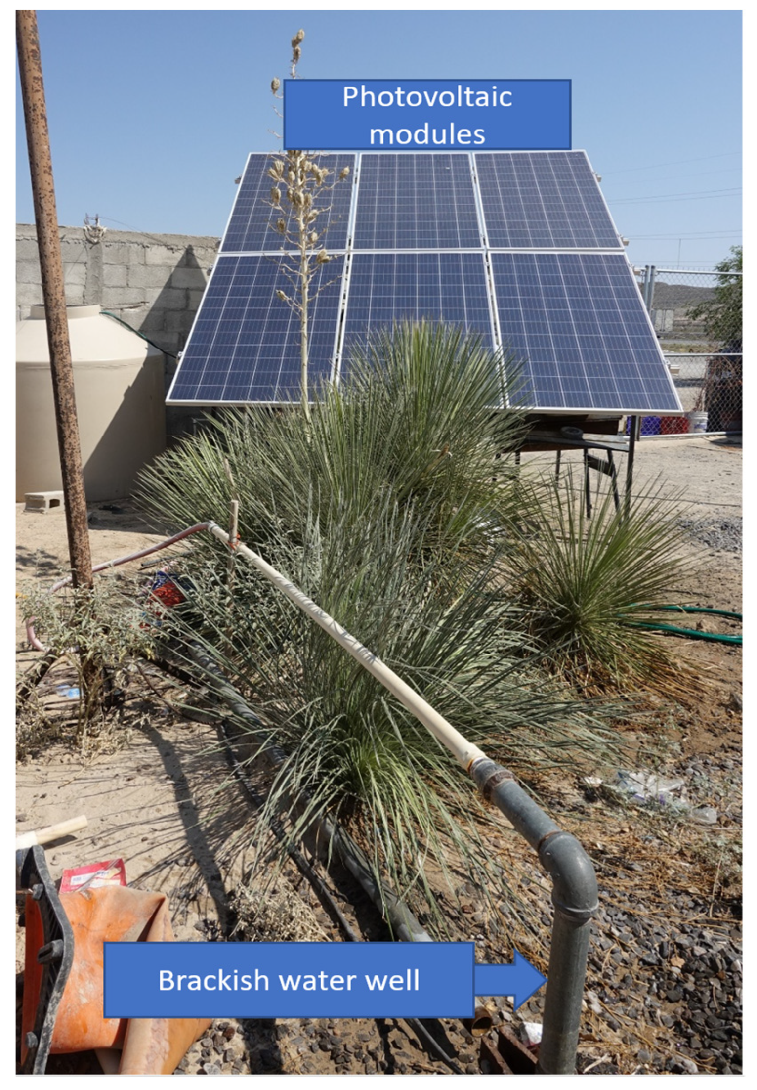 Sustainability 14 10958 g004