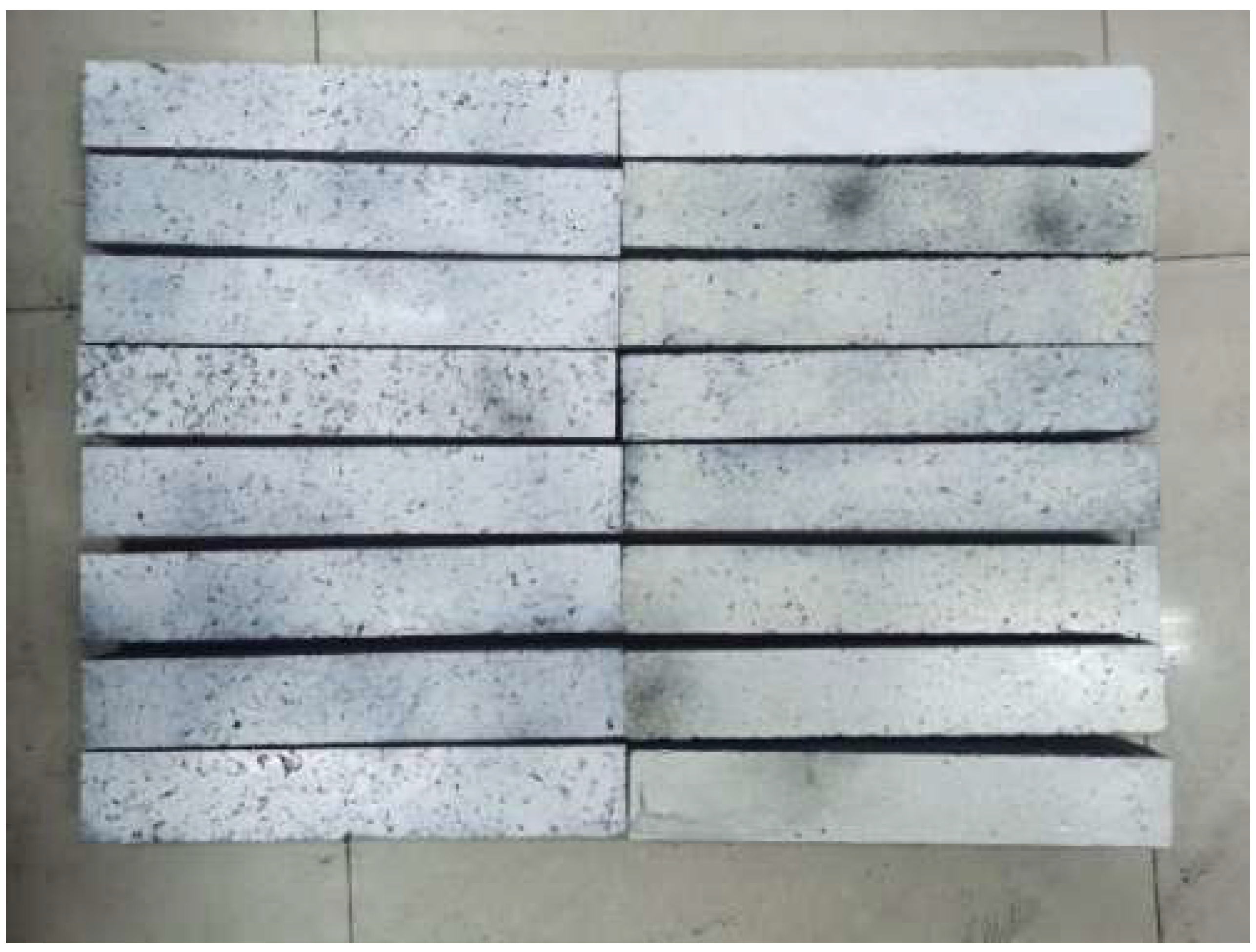 Sustainability 14 10966 g001 550