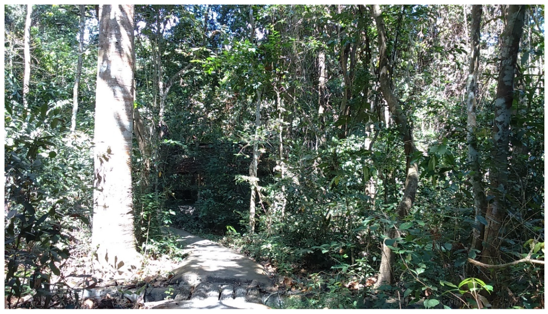 Sustainability 14 10976 g003