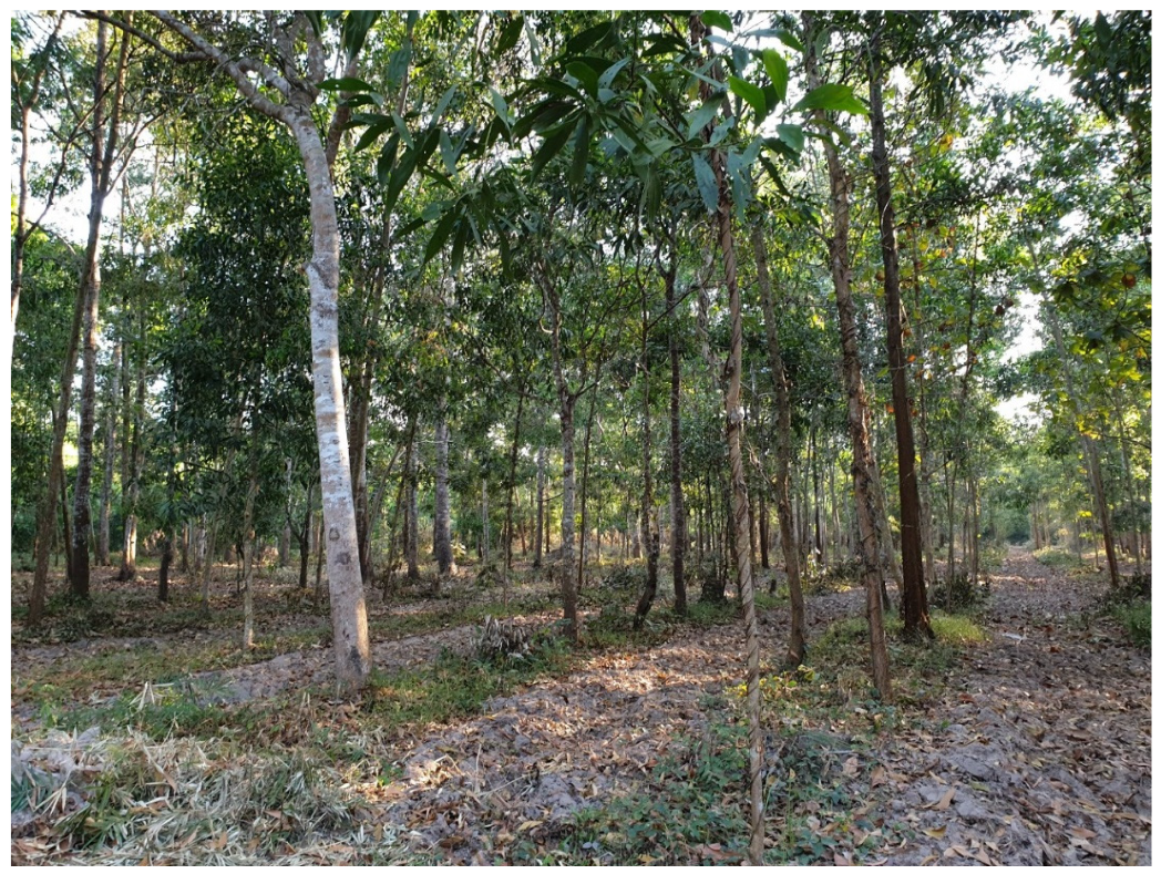 Sustainability 14 10976 g004