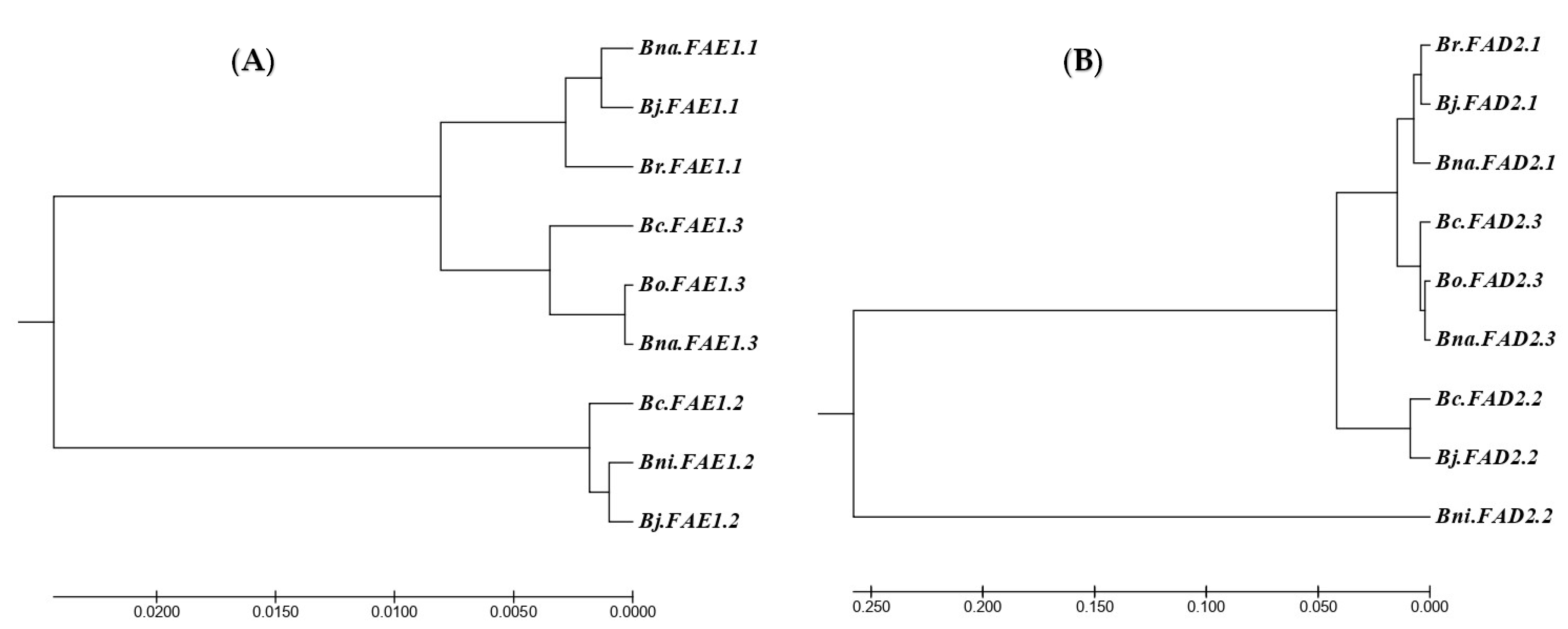 Sustainability 14 11035 g004