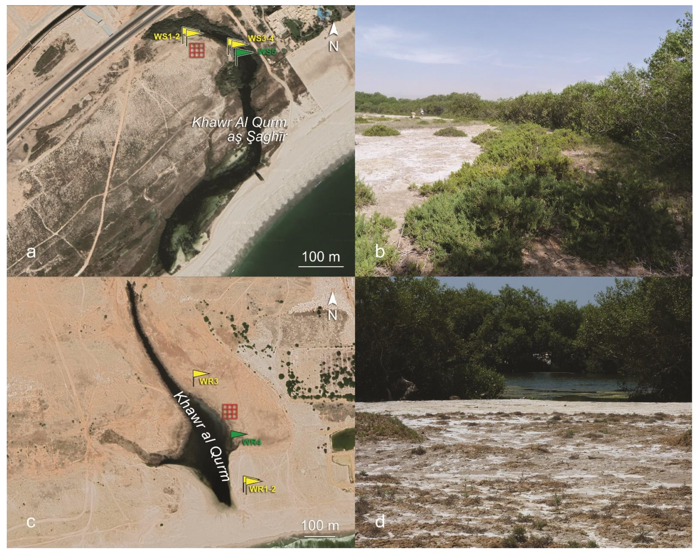 Sustainability 14 11038 g003 550