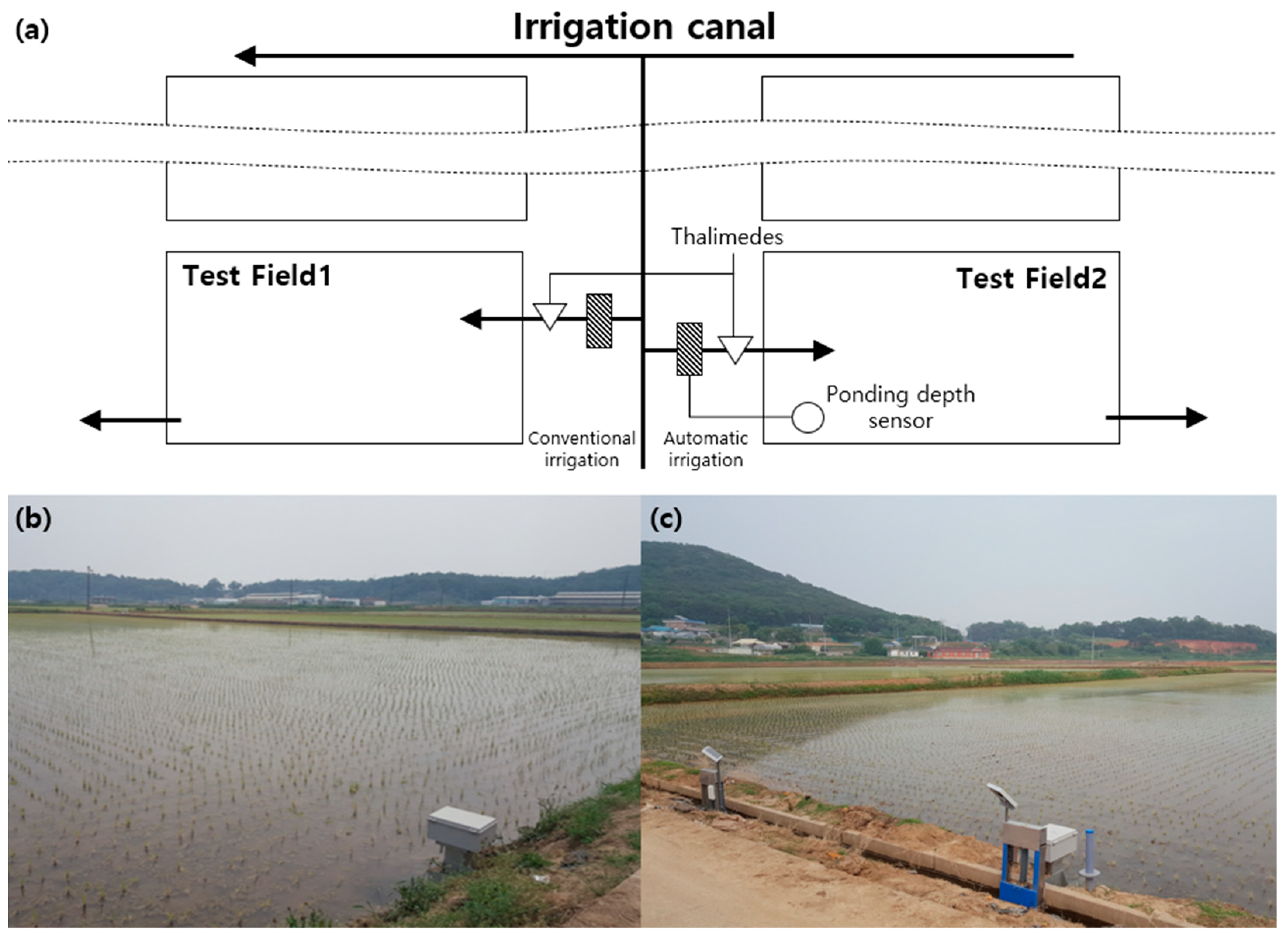 Sustainability 14 11044 g003