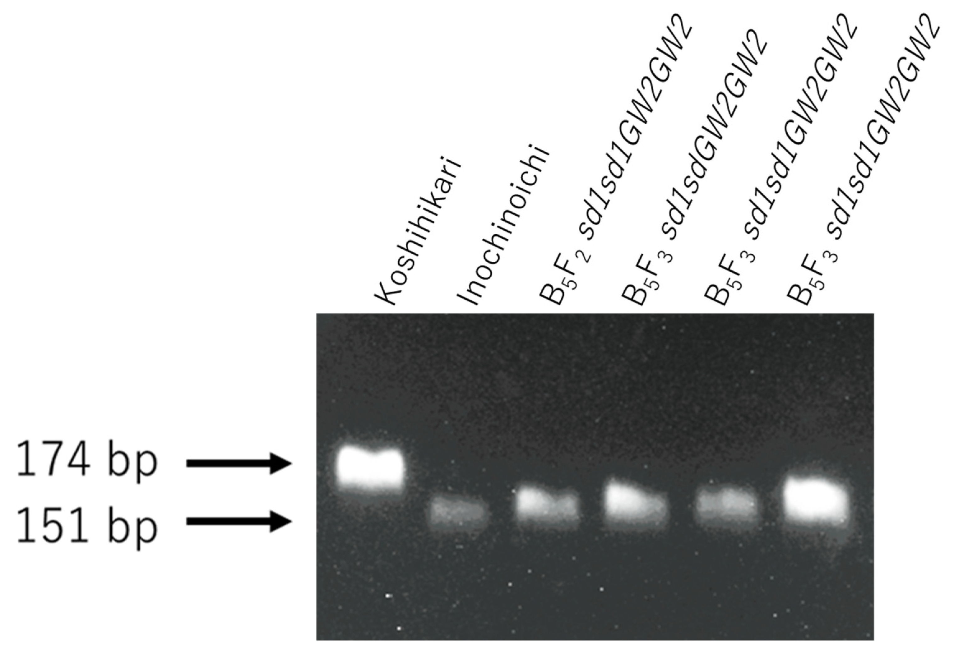 Sustainability 14 11075 g005