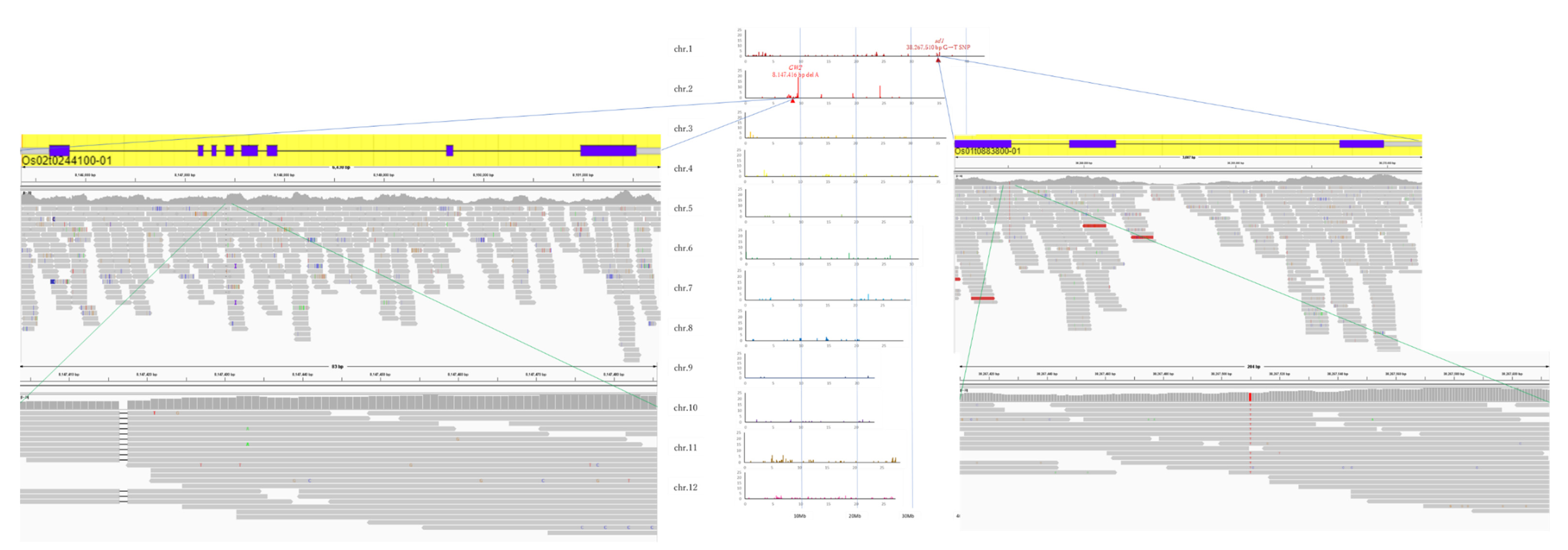 Sustainability 14 11075 g006
