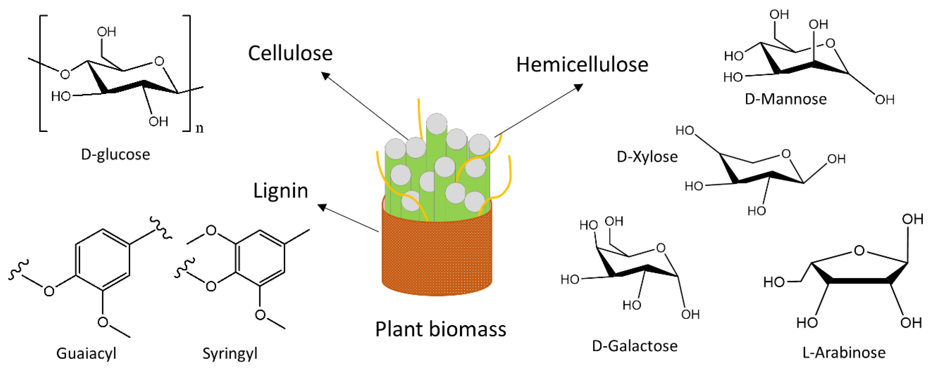 Sustainability 14 11098 g003