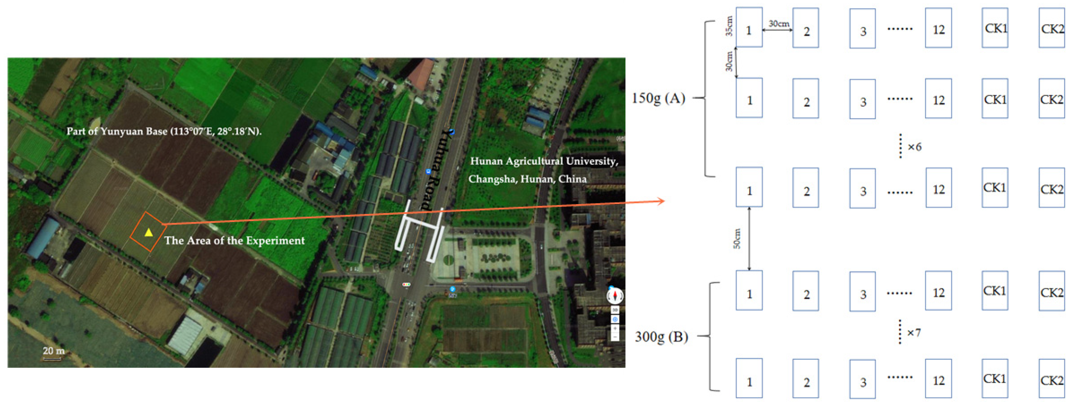Sustainability 14 11102 g001
